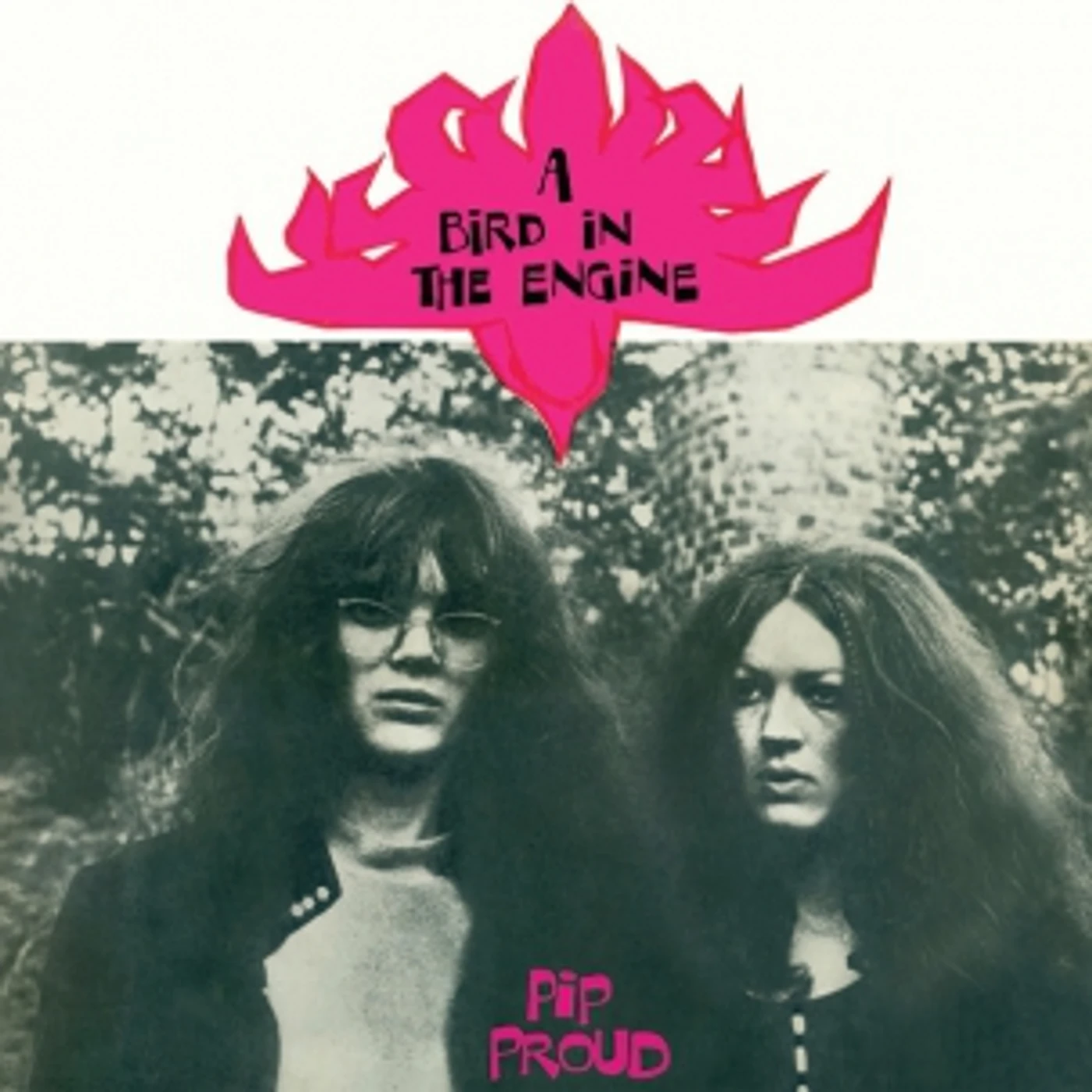 Pip Proud BIRD IN THE ENGINE Vinyl Record