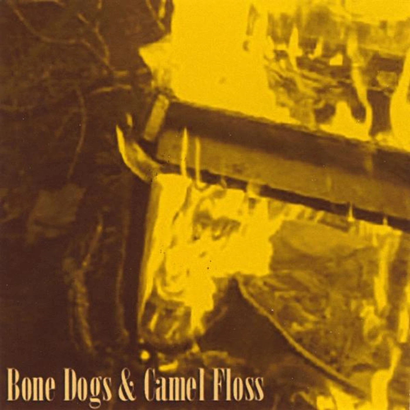Rikk Palmer BONE DOGS & CAMEL FLOSS CD