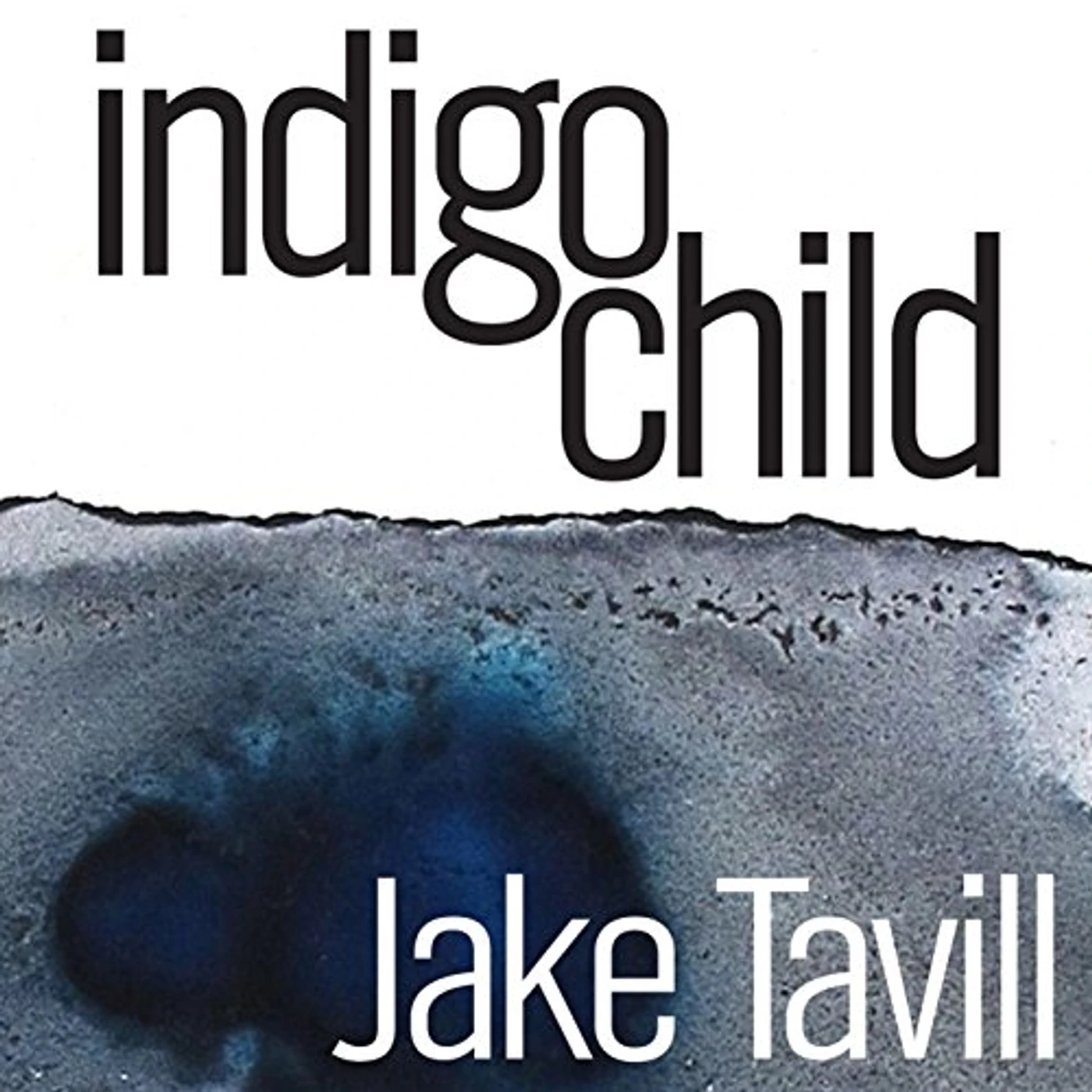 Jake Tavill INDIGO CHILD CD