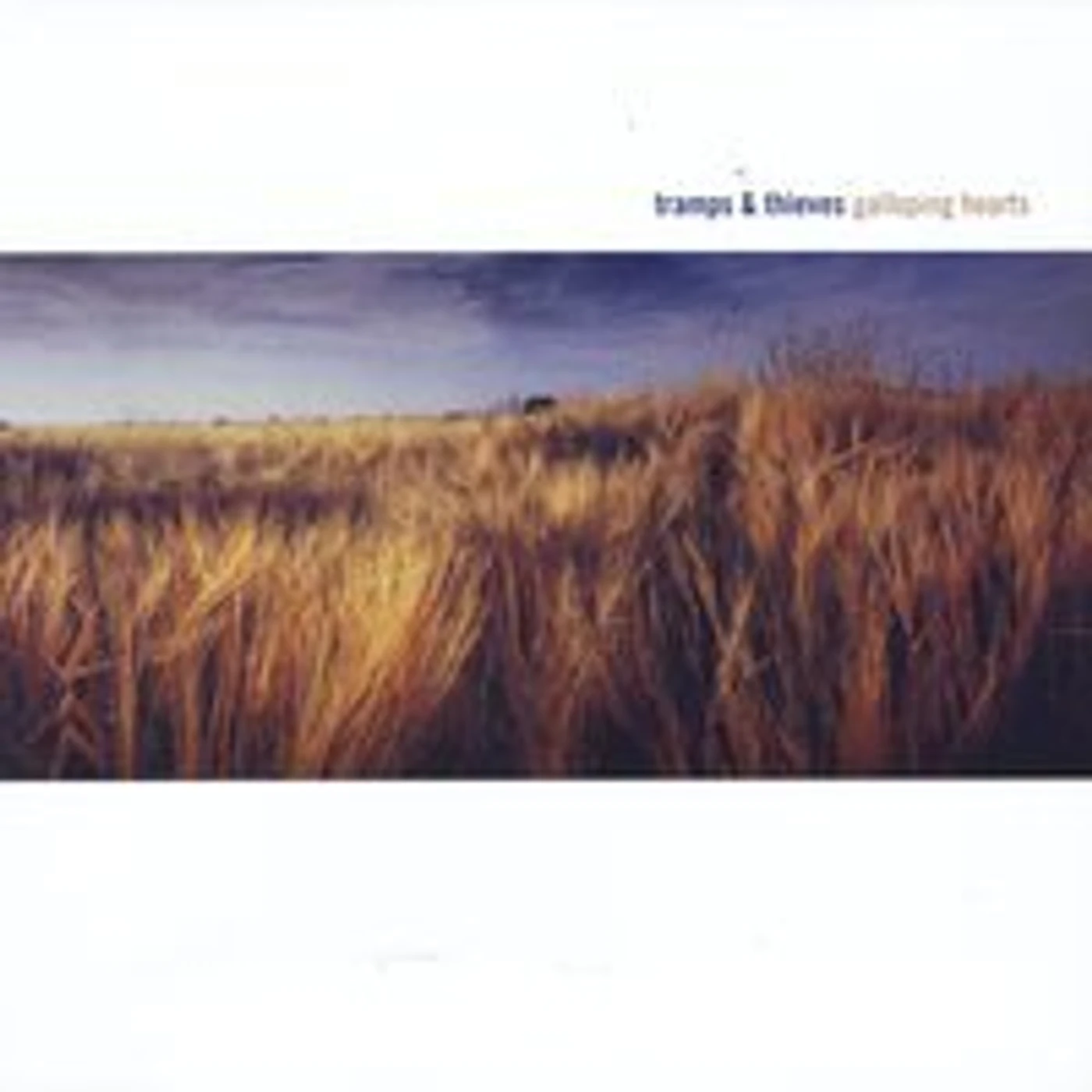 Tramps & Thieves GALLOPING HEARTS CD