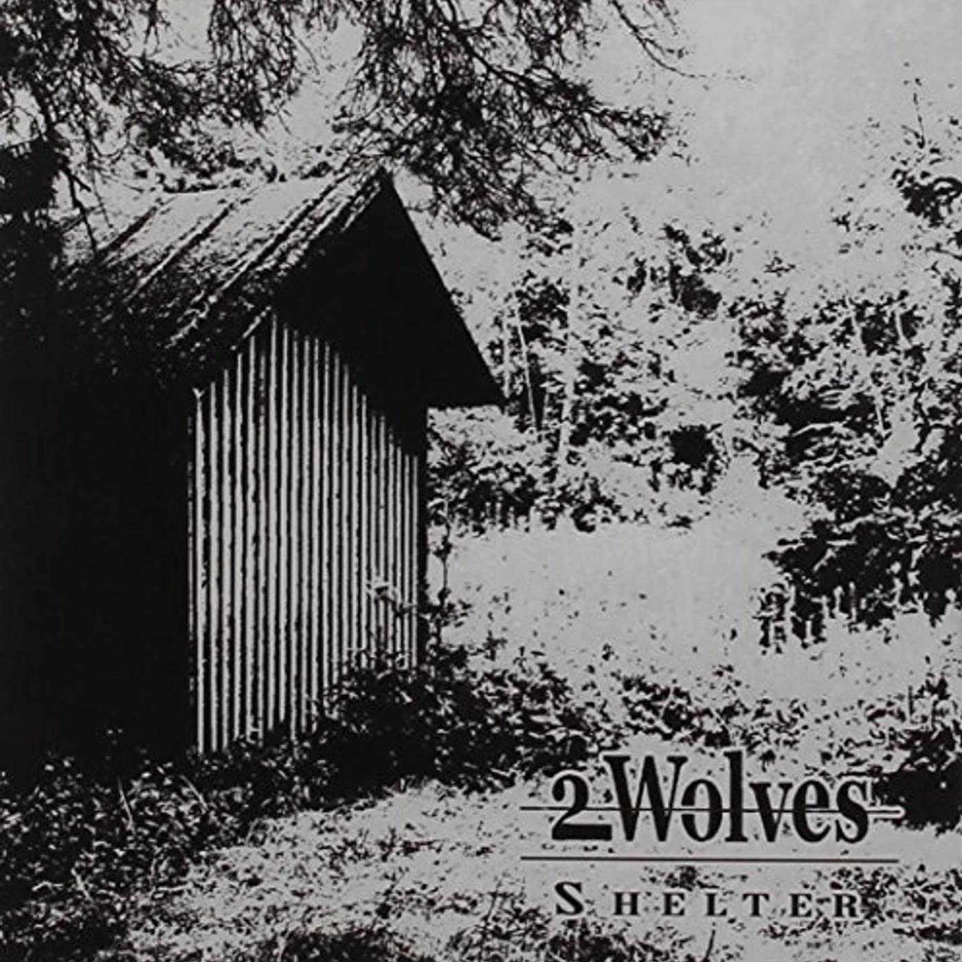 2 Wolves SHELTER CD