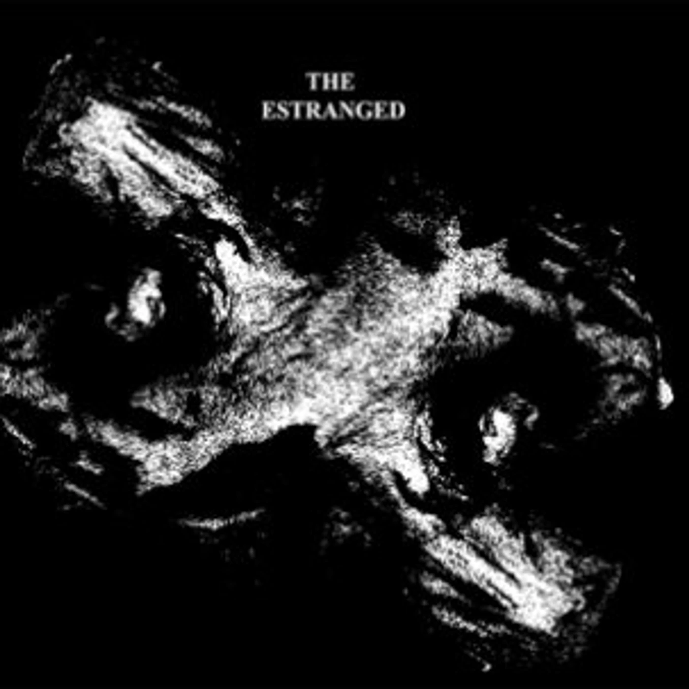 The Estranged Vinyl Record