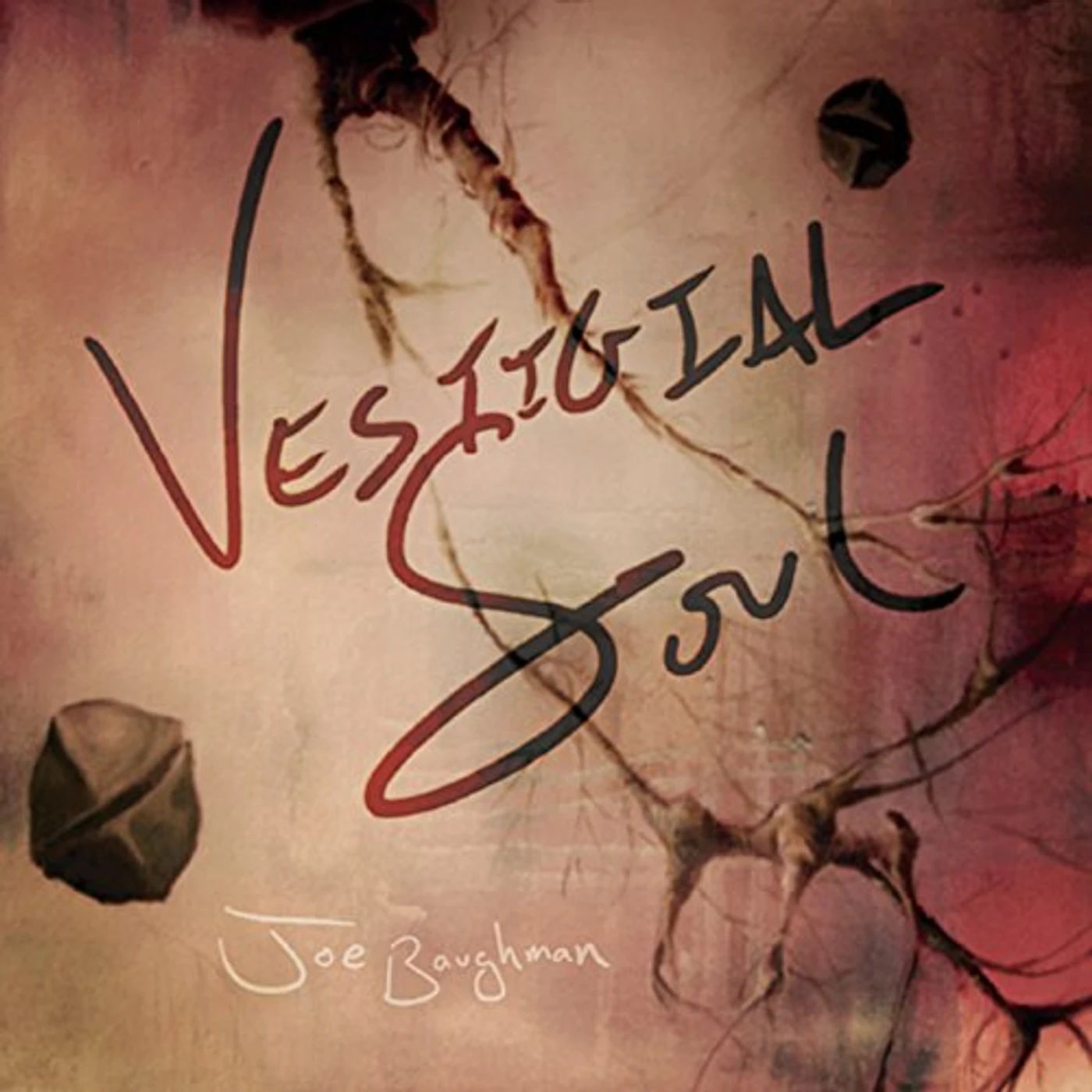 Joe Baughman VESTIGIAL SOUL CD