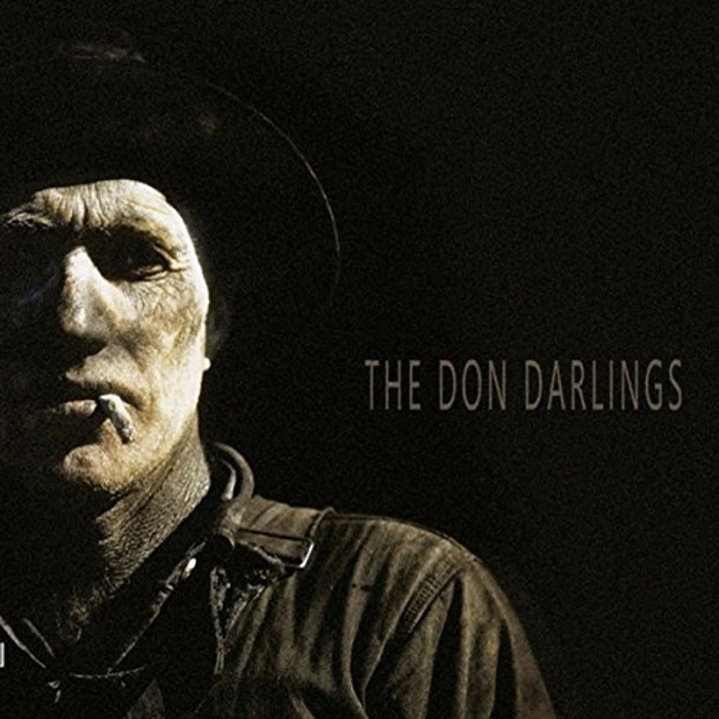 The Don Darlings Vinyl Record
