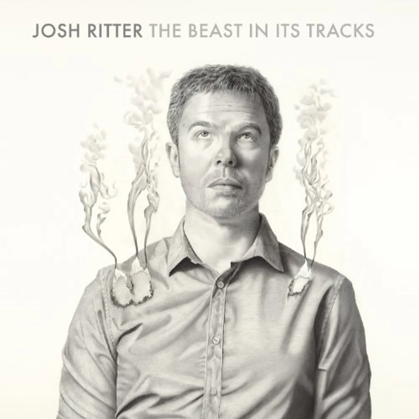 Josh Ritter INTL: THE BEAST IN ITS TRACKS CD