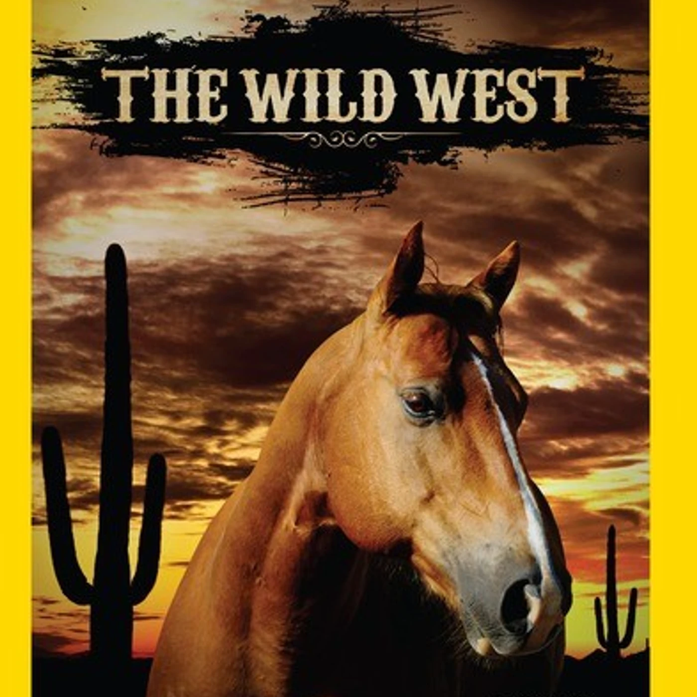 Wild West DVD