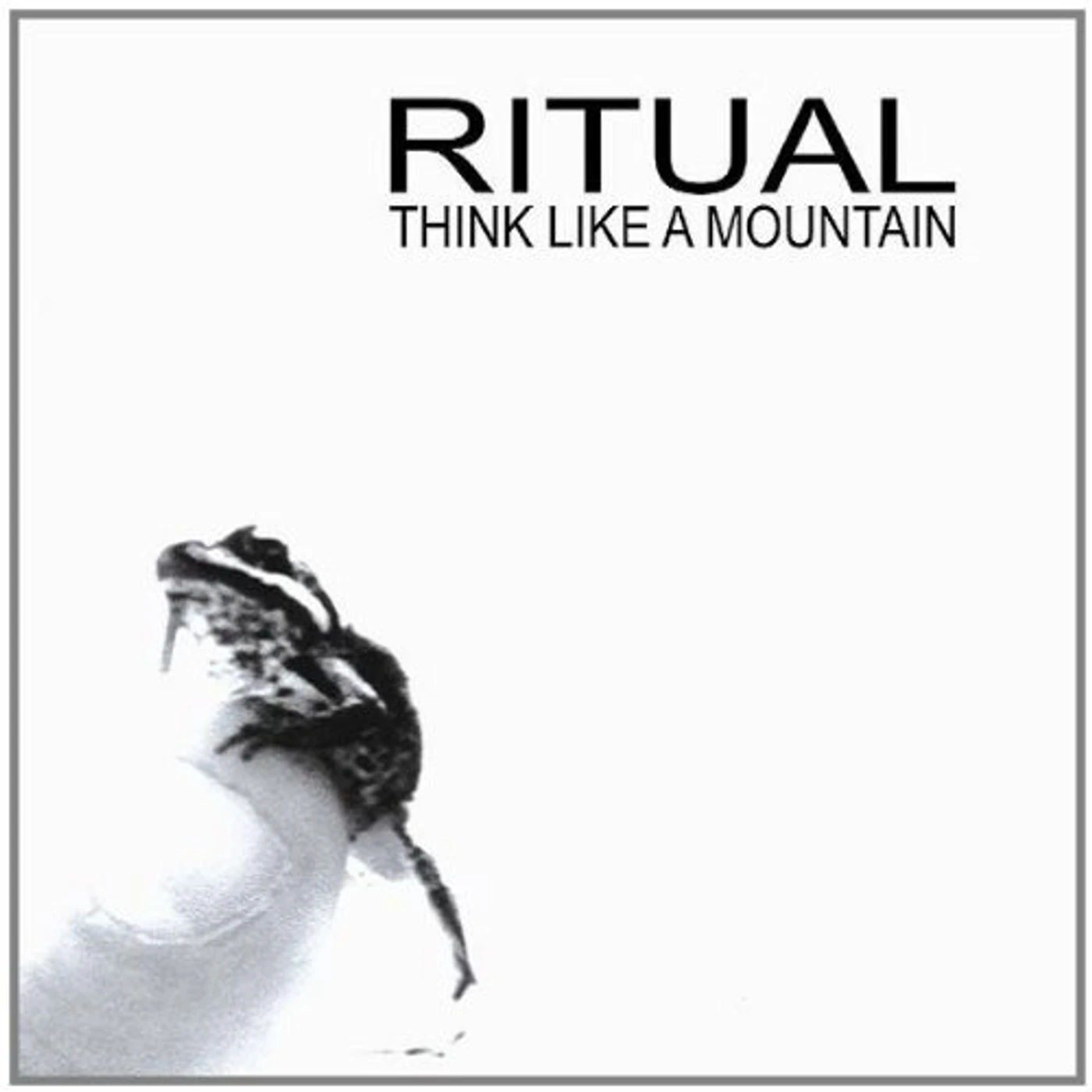 Ritual THINK LIKE A MOUNTAIN CD