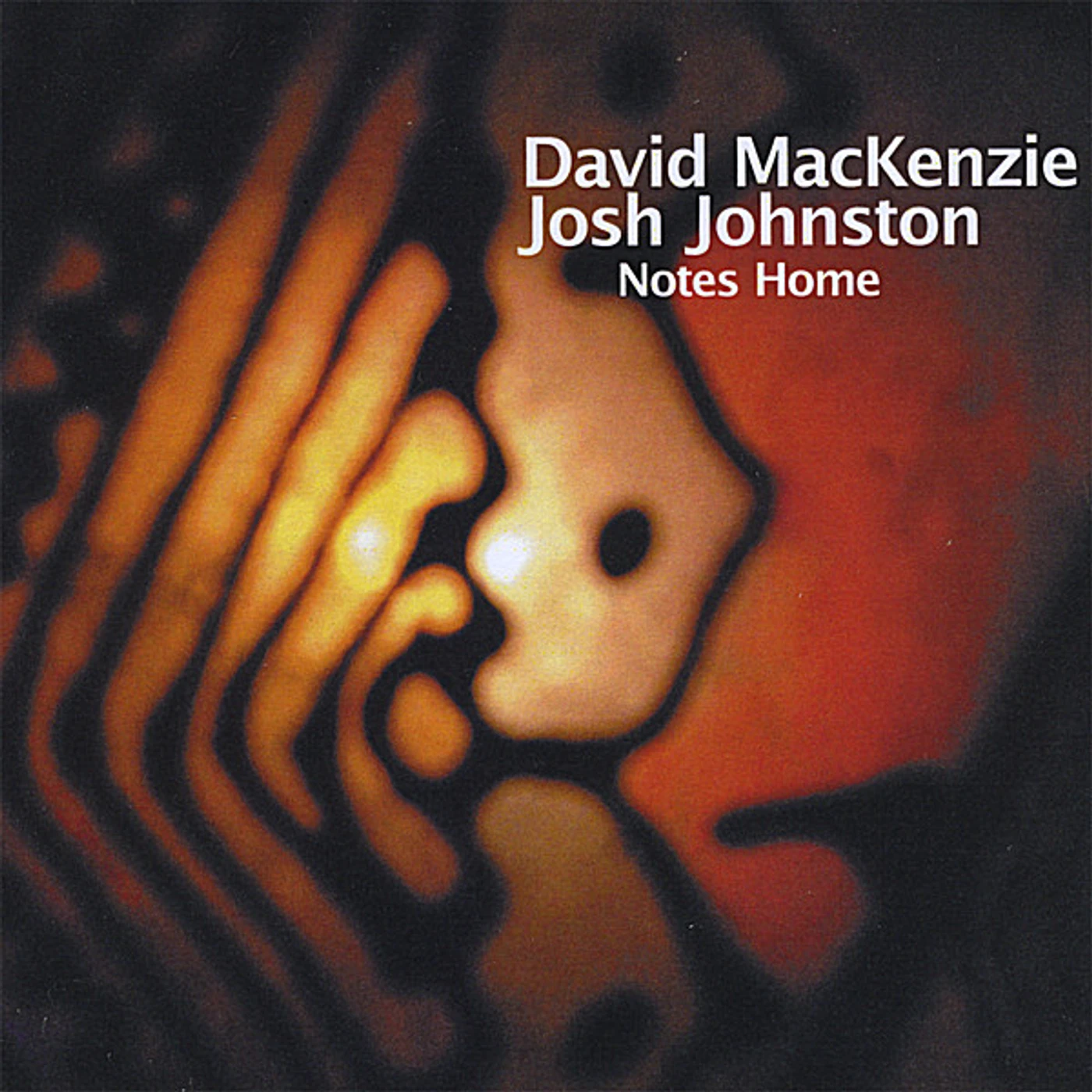 David MacKenzie NOTES HOME CD