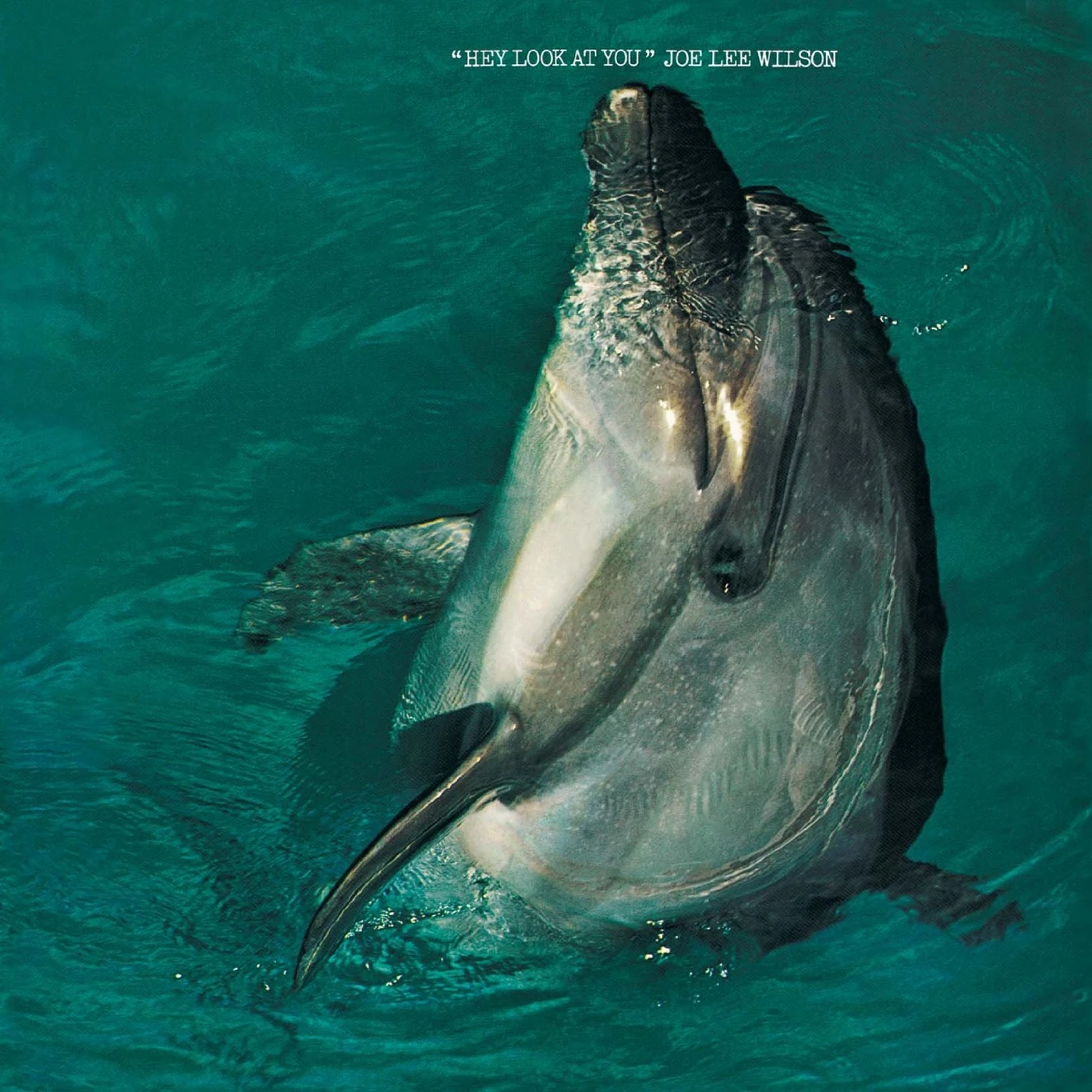 Joe Lee Wilson HEY LOOK AT YOU CD