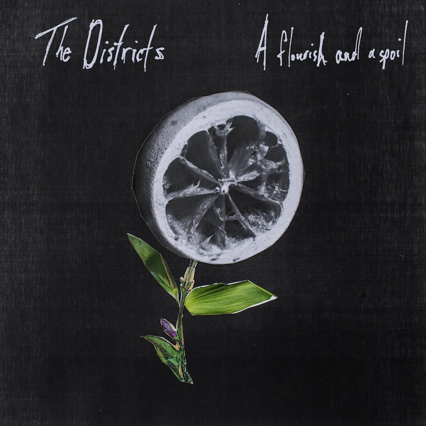 The Districts FLOURISH AND A SPOIL CD