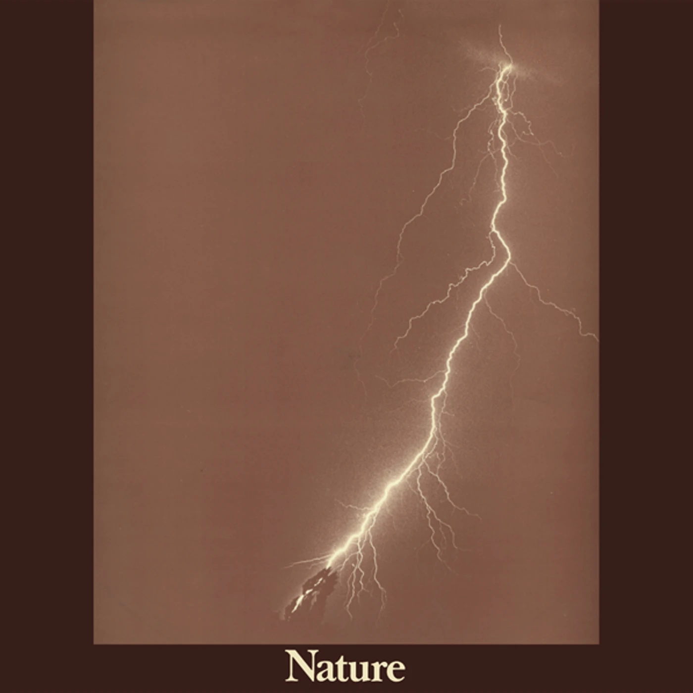 Nature Vinyl Record