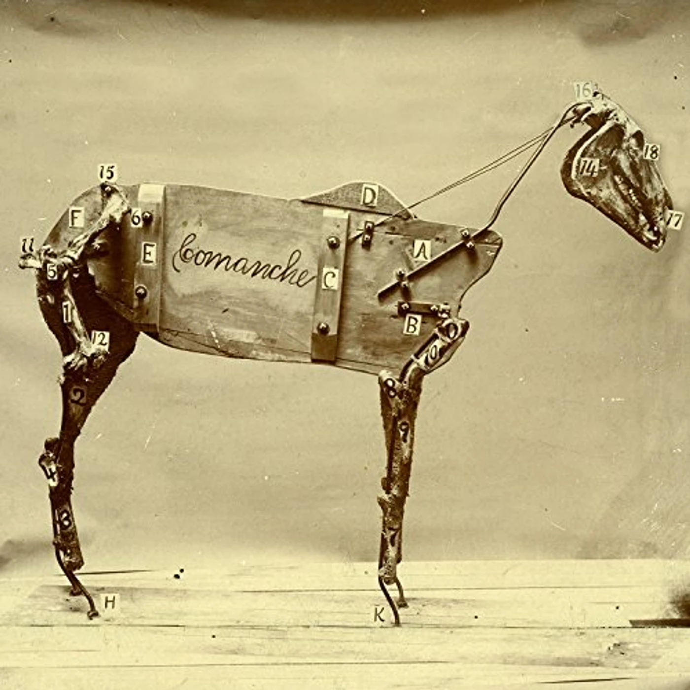 Chadwick Stokes HORSE COMANCHE Vinyl Record