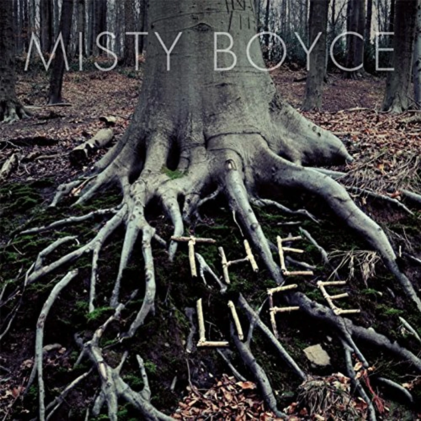 Misty Boyce LIFE CD