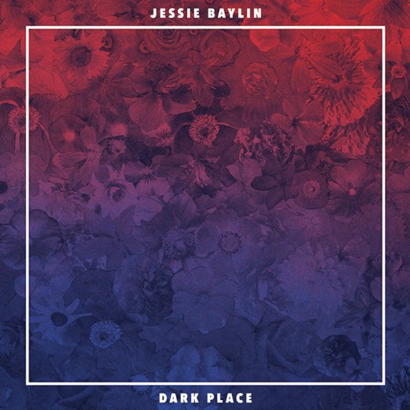 Jessie Baylin Dark Place Vinyl Record
