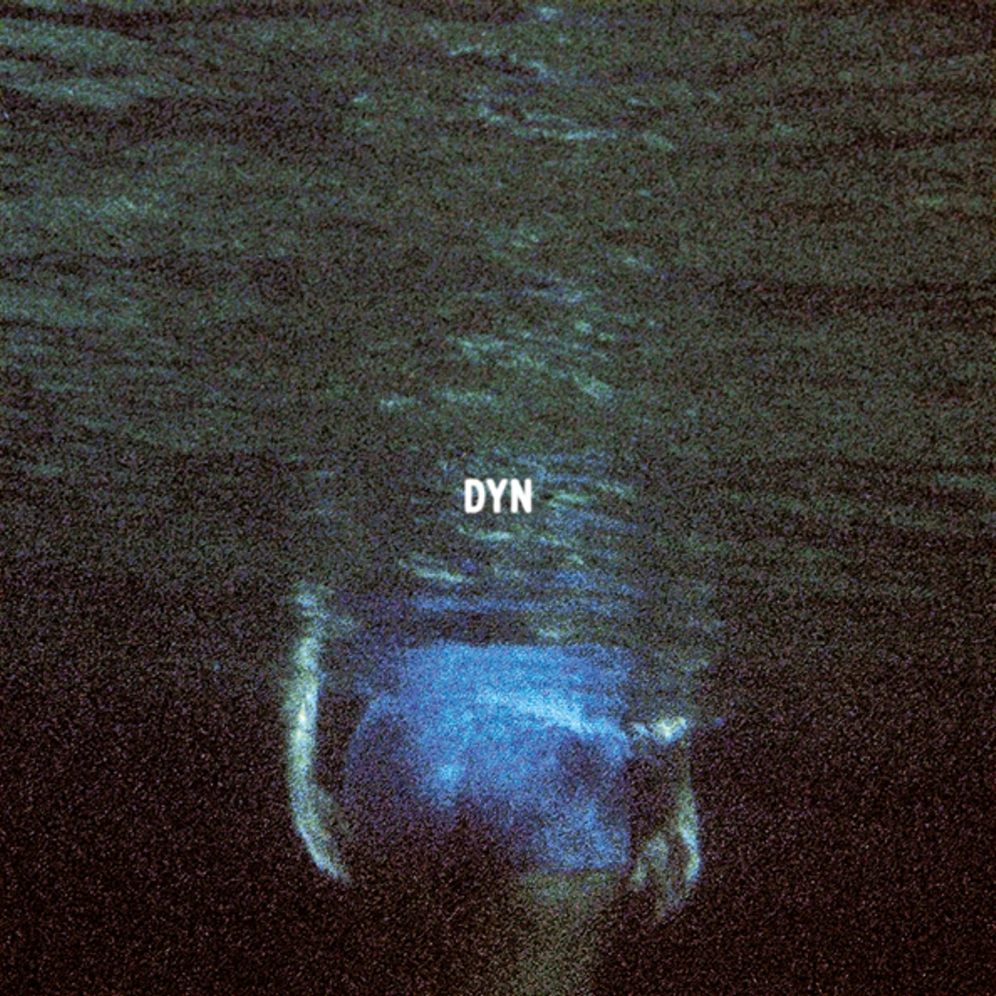 DYN Vinyl Record