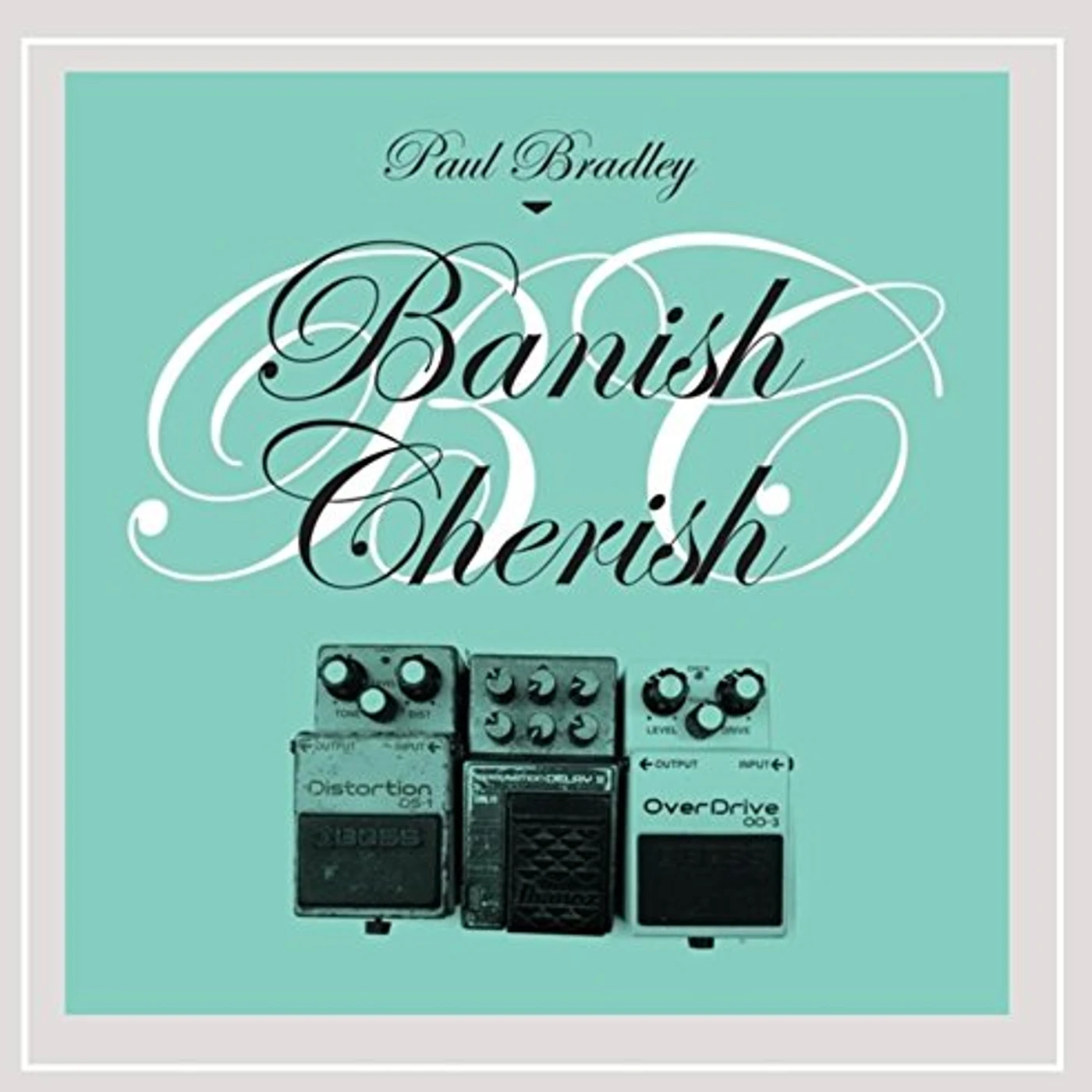 Paul Bradley BANISH CHERISH CD