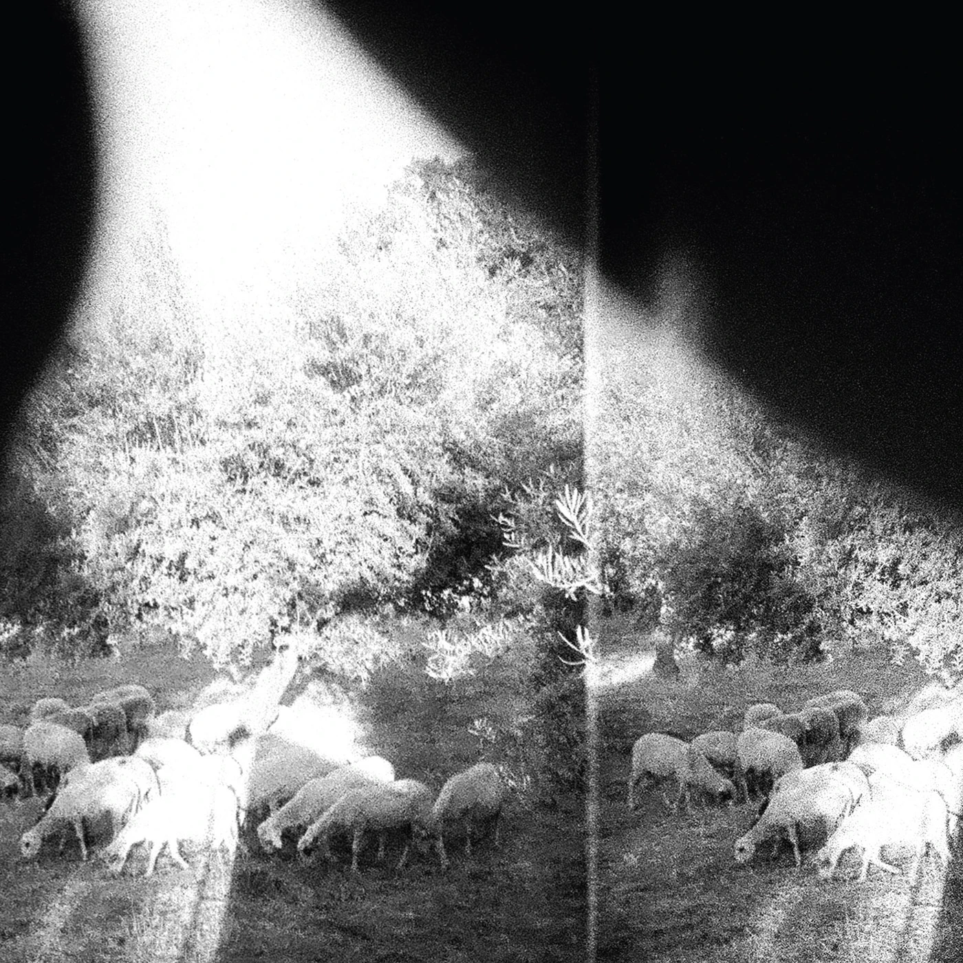 Godspeed You! Black Emperor ASUNDER SWEET & OTHER DISTRESS Vinyl Record