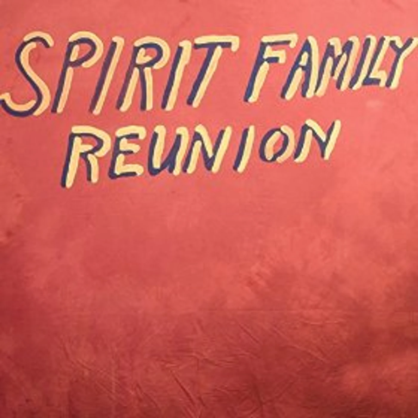 Spirit Family Reunion HANDS TOGETHER CD