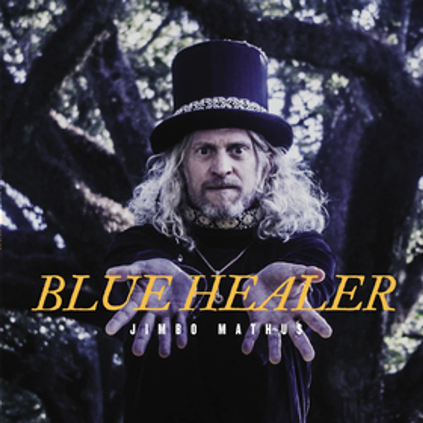 Jimbo Mathus BLUE HEALER CD