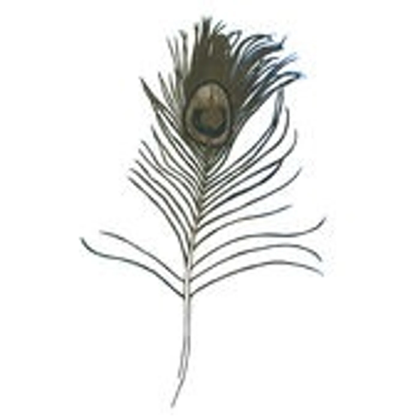 Great Peacock Making Ghosts Vinyl Record