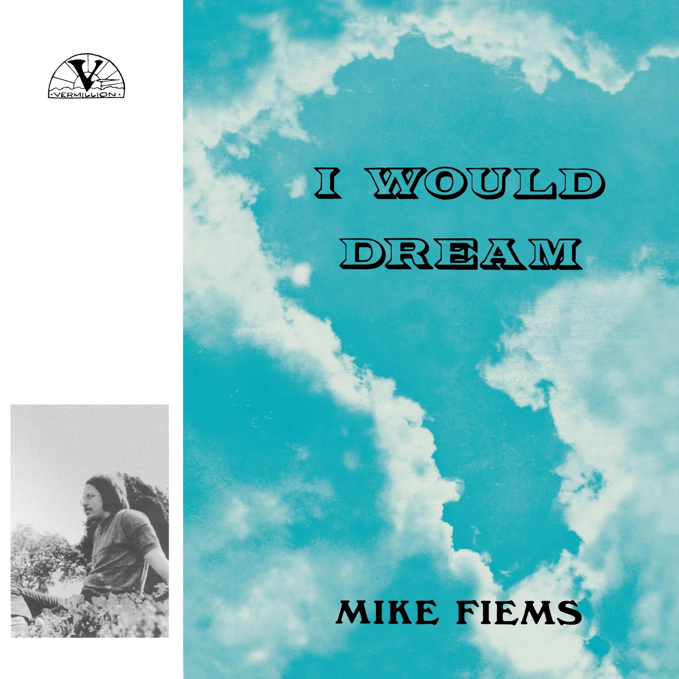 Mike Fiems I Would Dream Vinyl Record
