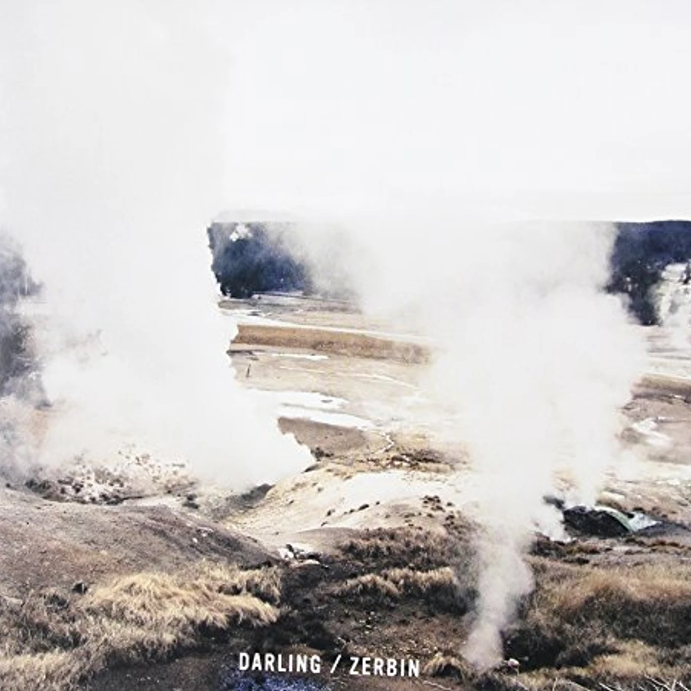 Zerbin DARLING CD