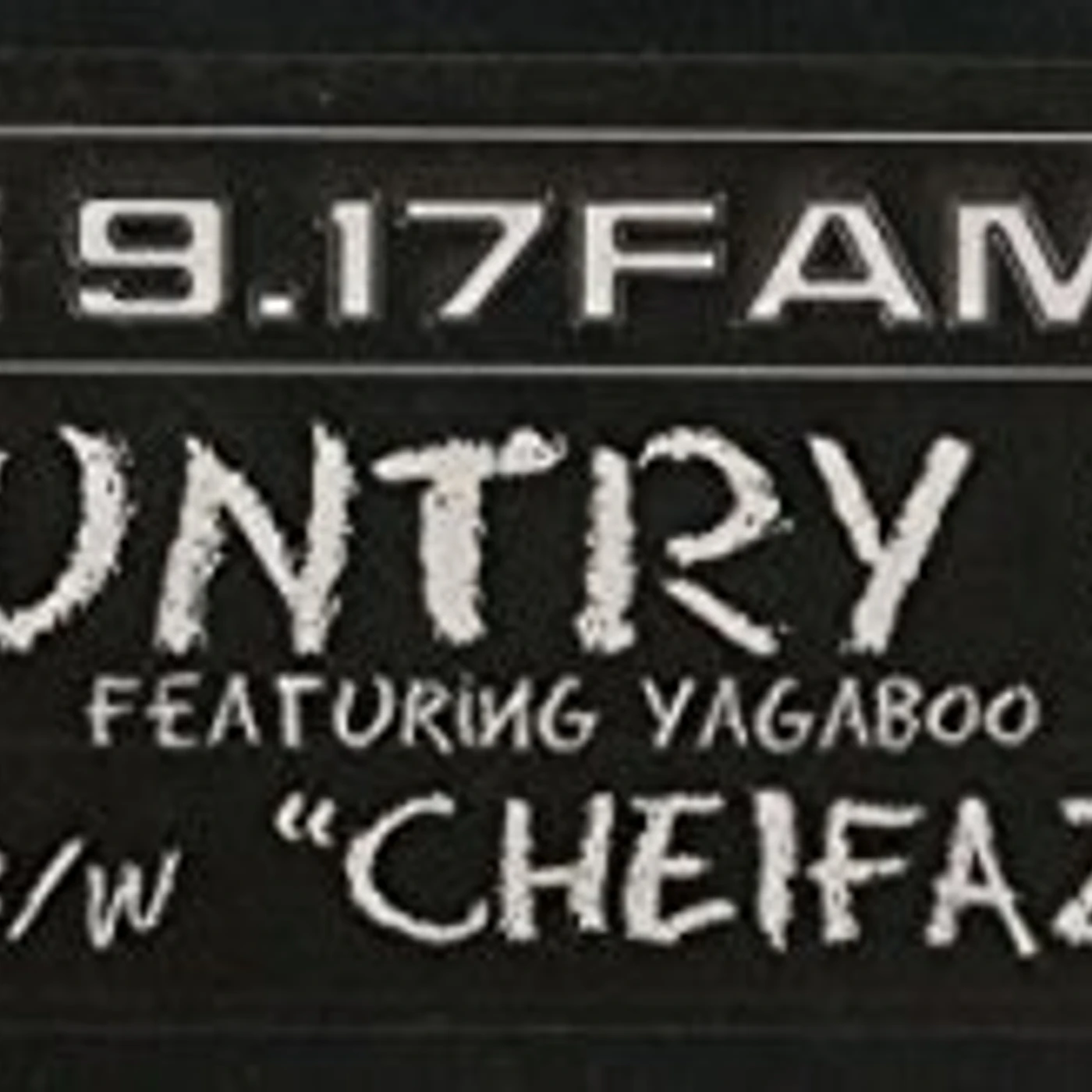 The 9.17 Family COUNTRY BOY Vinyl Record