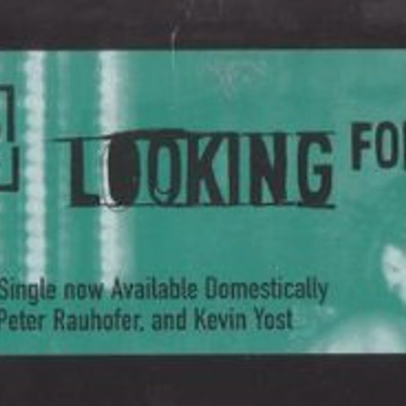Karen Ramirez Looking For Love Vinyl Record