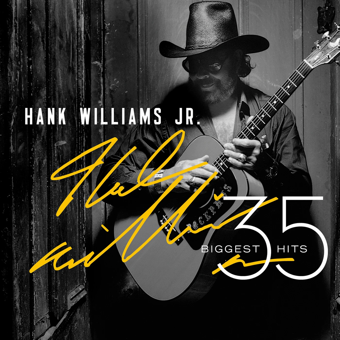Hank Williams, Jr. 35 BIGGEST HITS CD