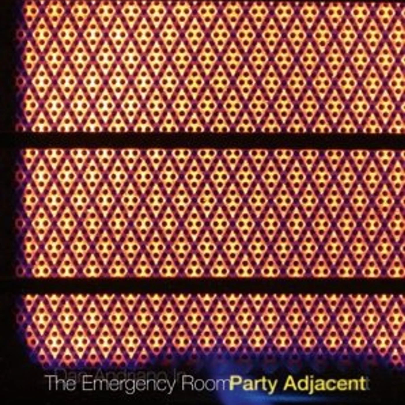 Dan Andriano in the Emergency Room PARTY ADJACENT CD