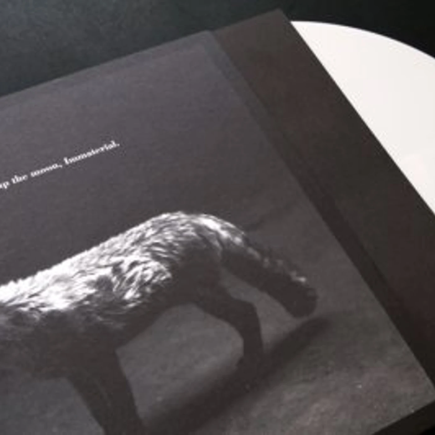 Hanging up the Moon IMMATERIAL Vinyl Record - Colored Vinyl, Limited Edition, White Vinyl