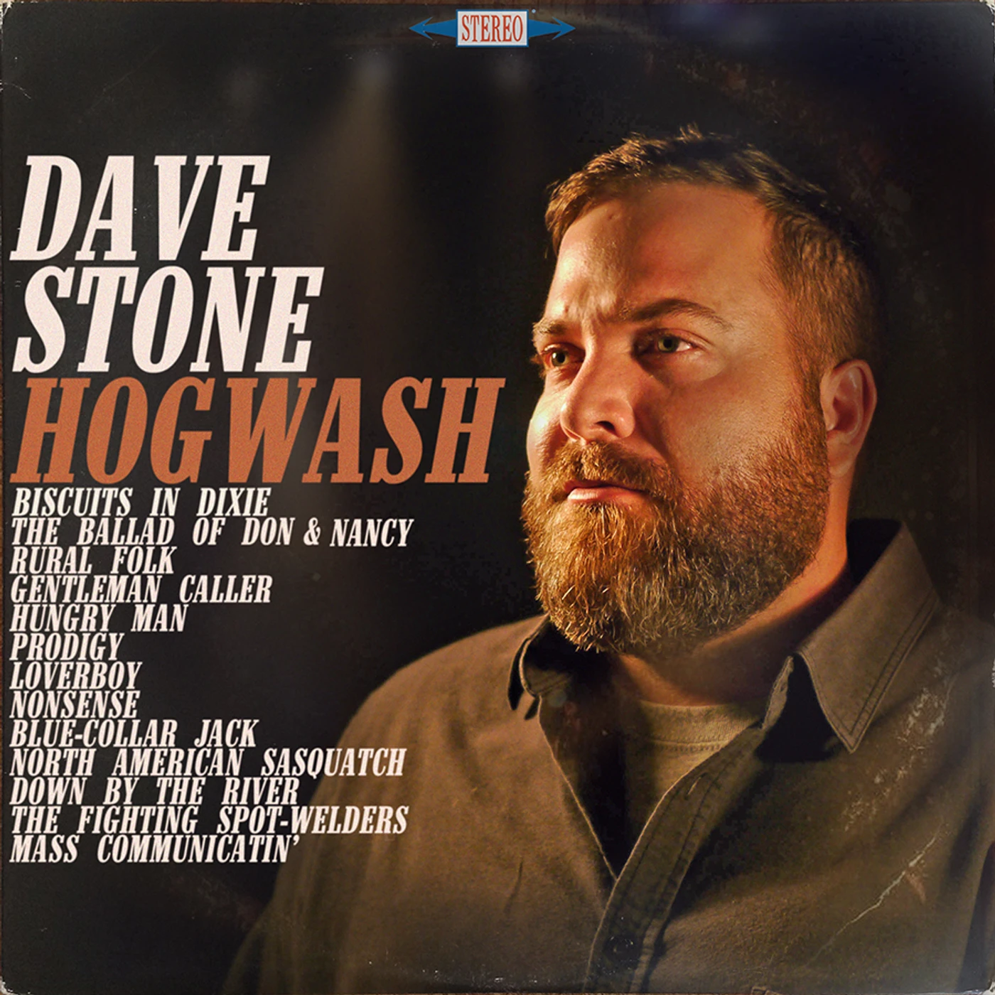 DAVE STONE HOGWASH CD