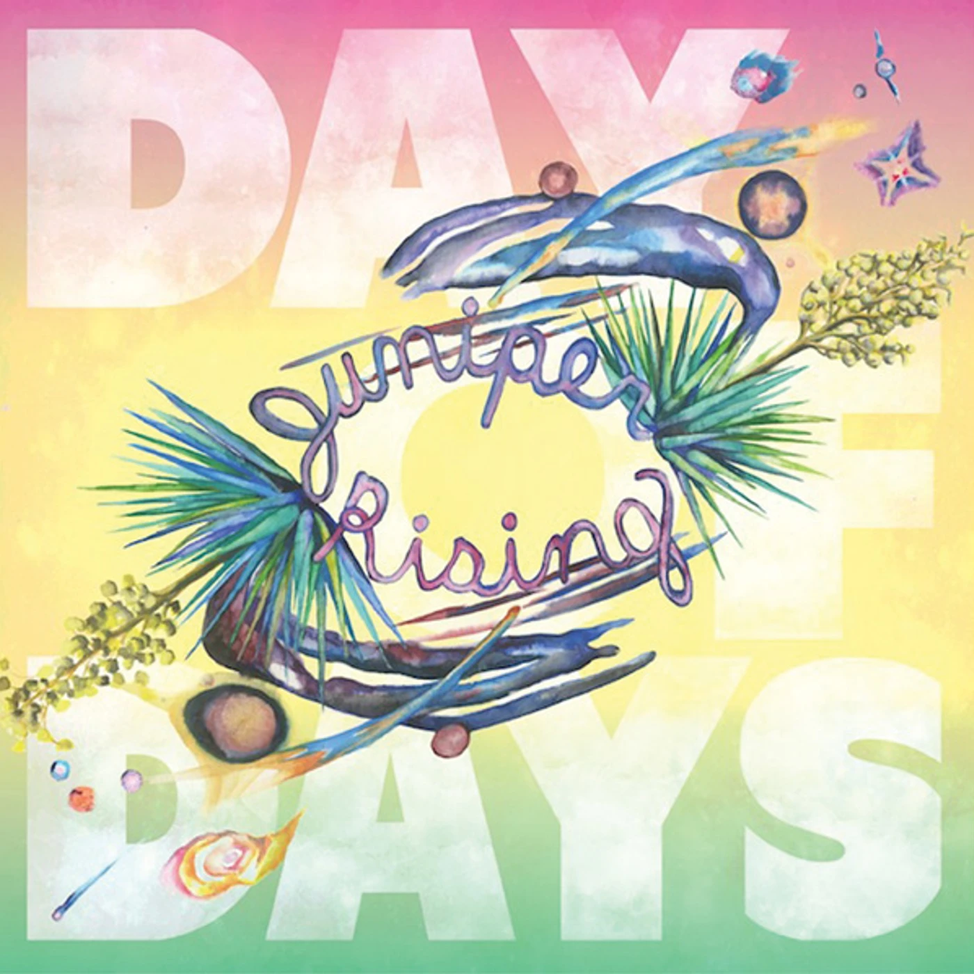 Juniper Rising DAY OF DAYS Vinyl Record
