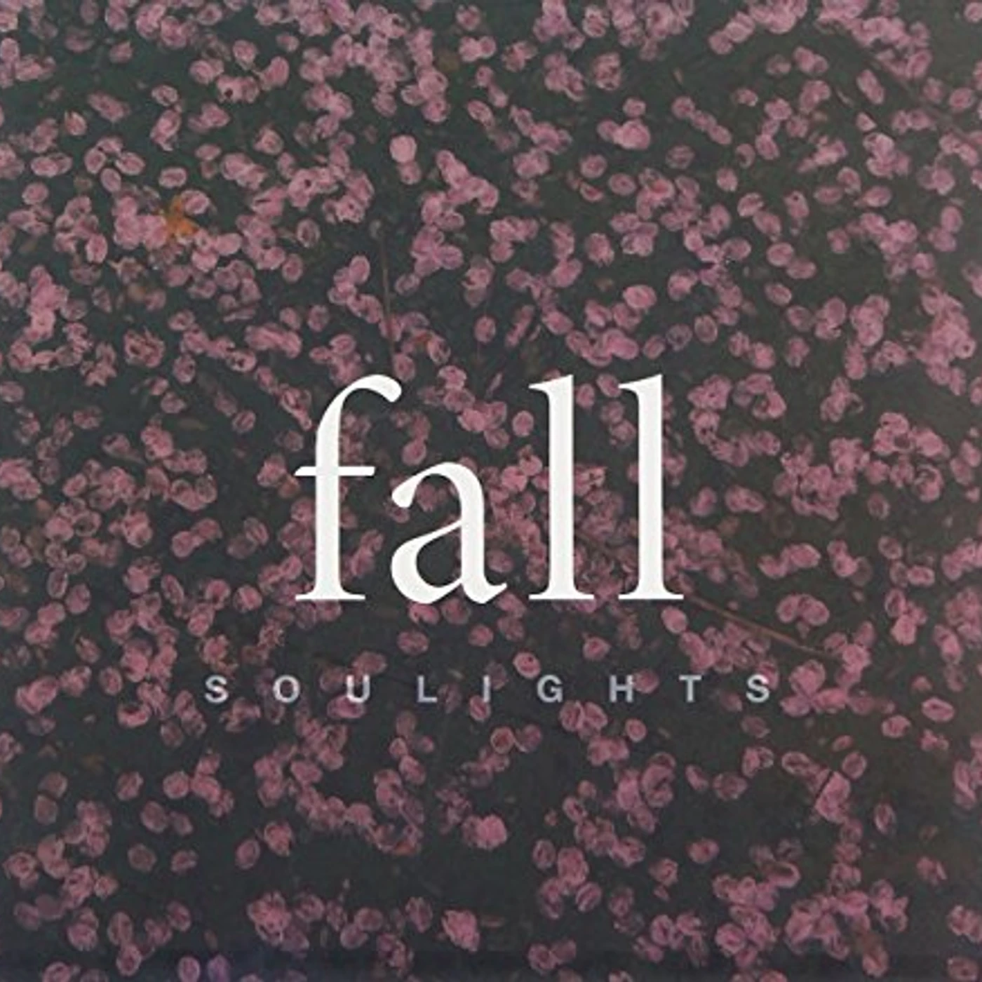 Soulights FALL CD