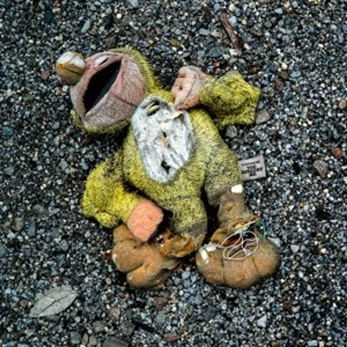 Gangrene You Disgust Me Vinyl Record