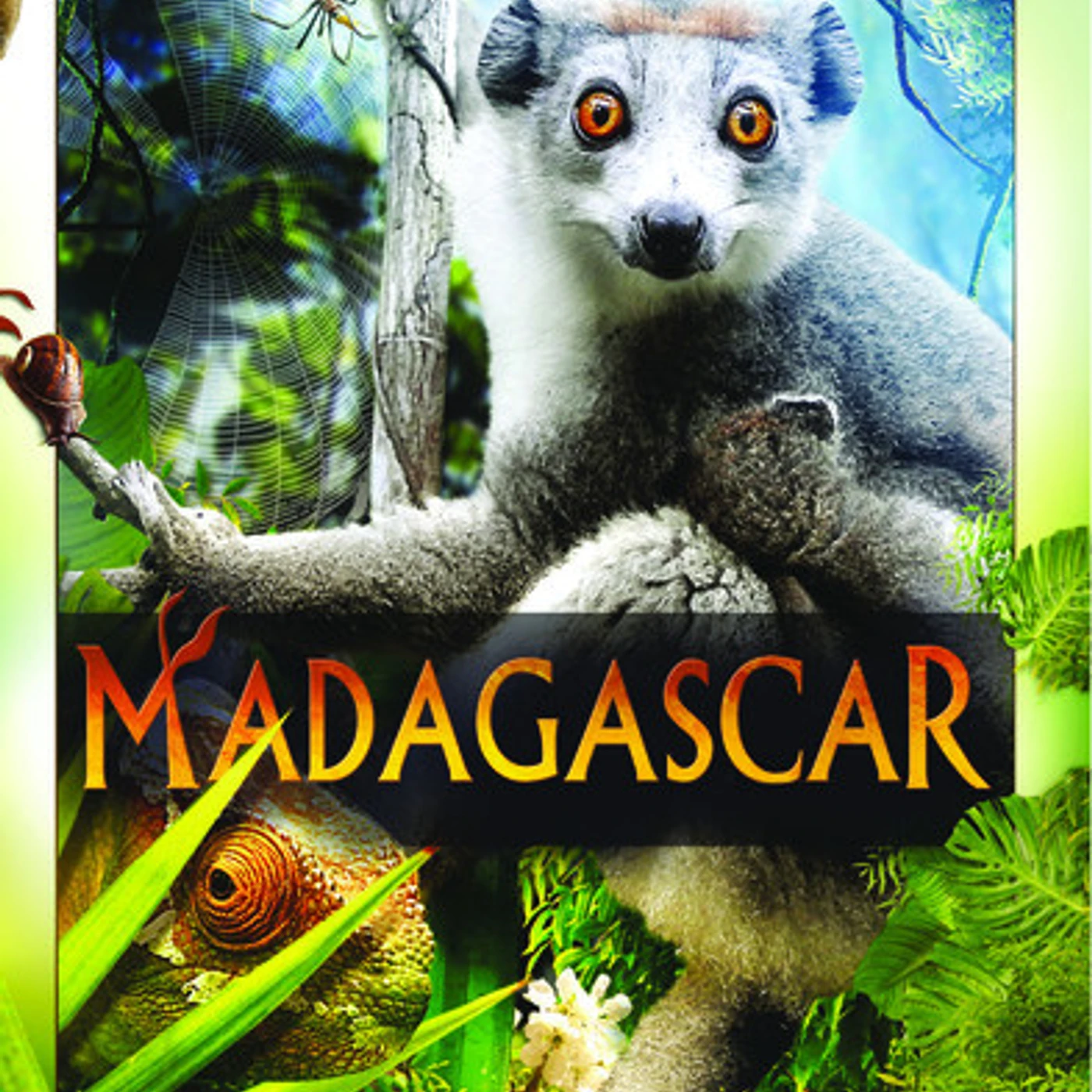 MADAGASCAR DVD