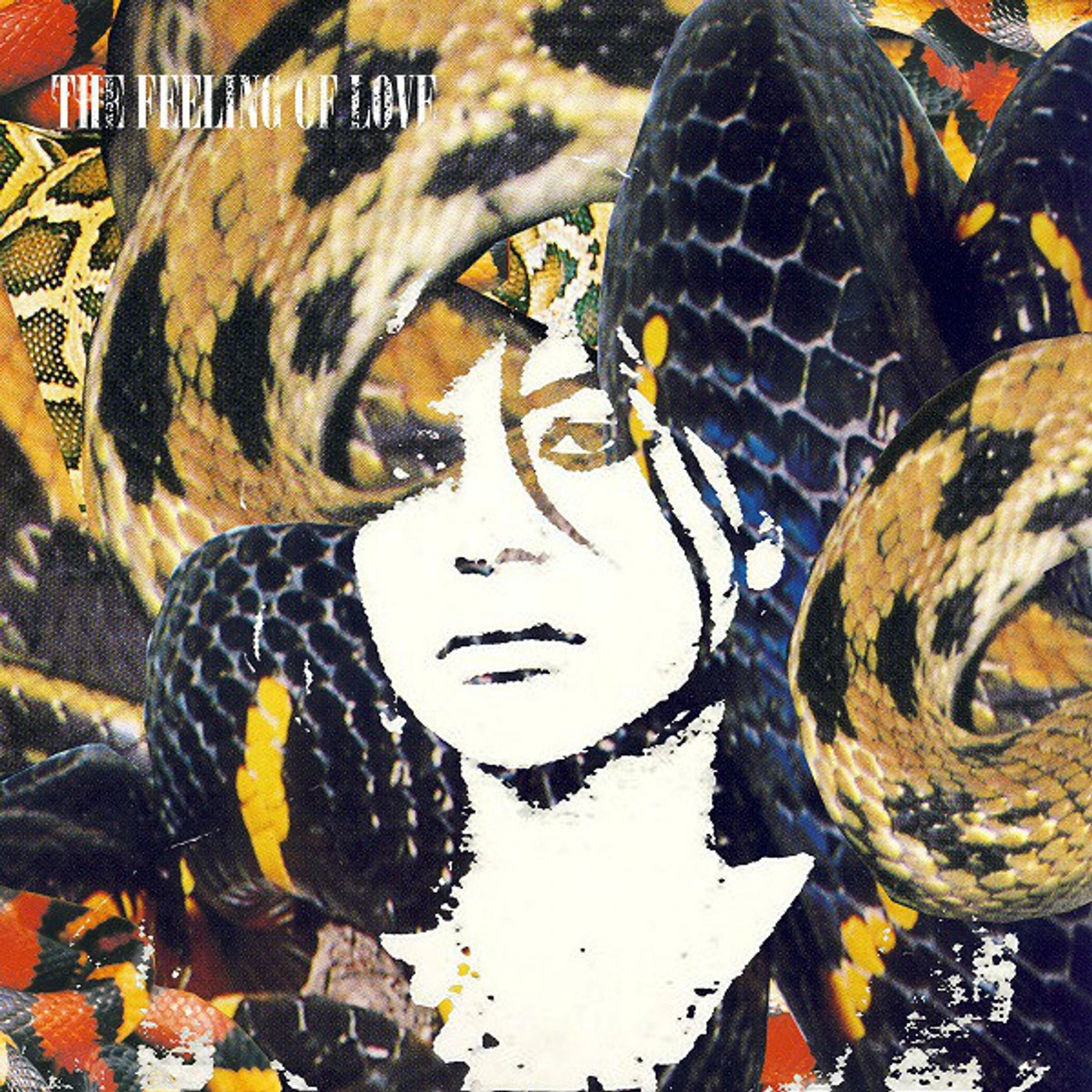 The Feeling of Love SUCK / SOUL / PORN Vinyl Record