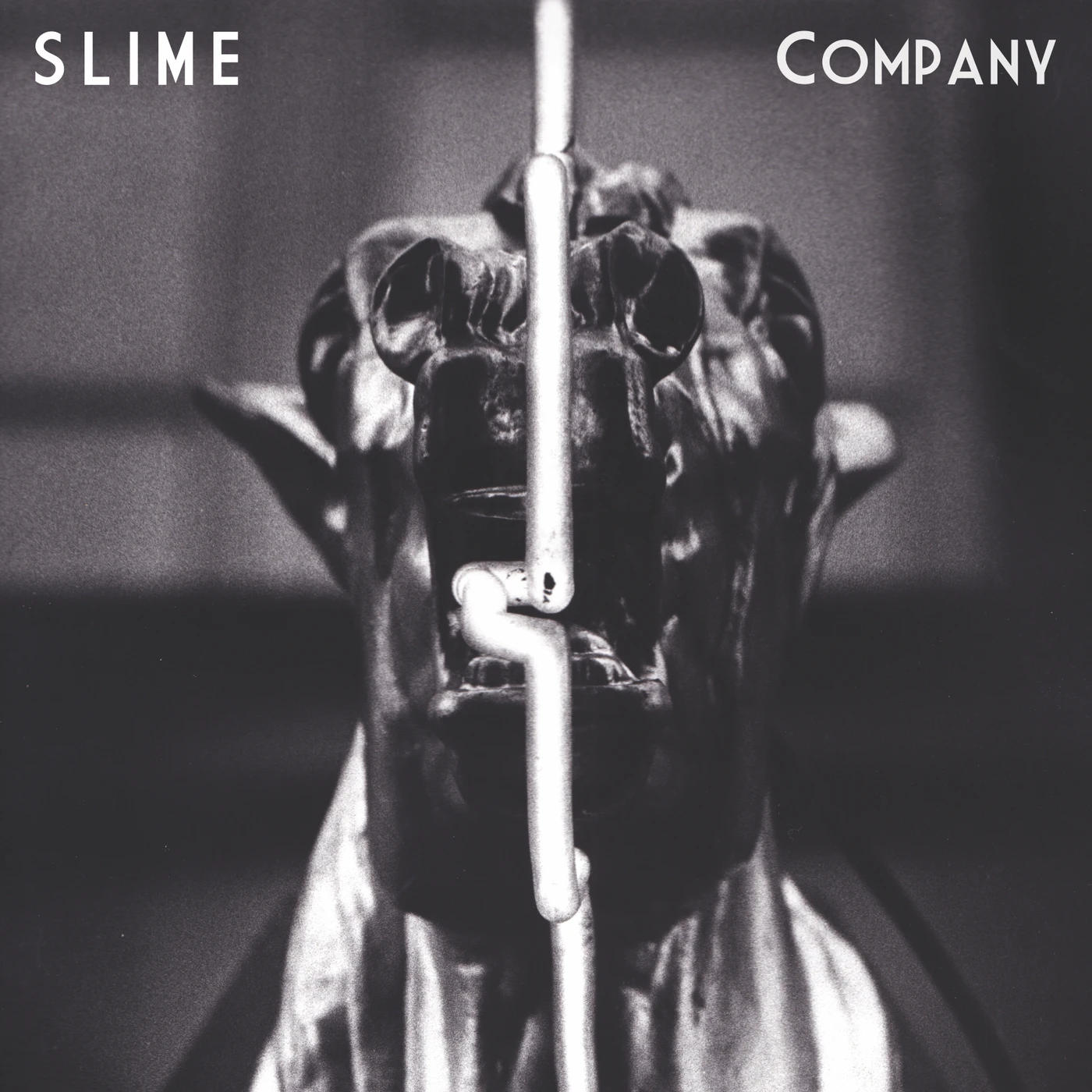 Slime COMPANY Vinyl Record