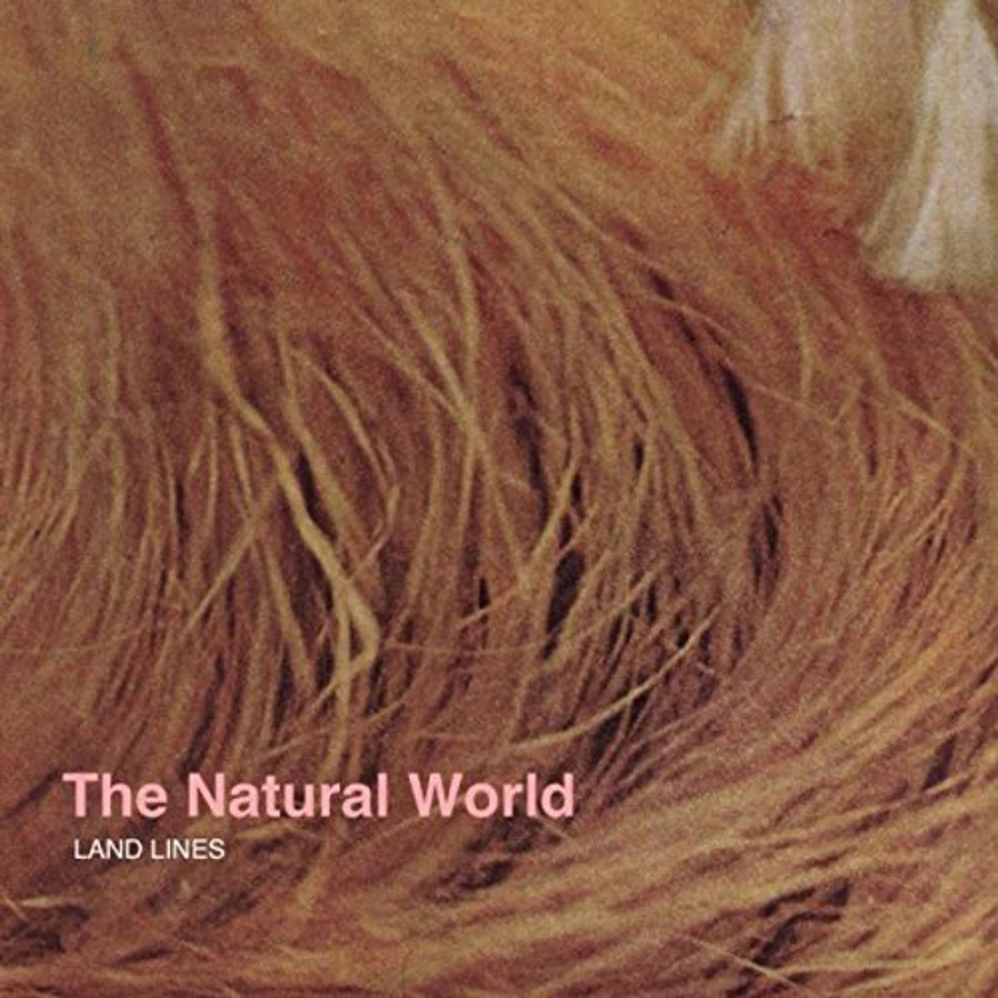 Land Lines NATURAL WORLD Vinyl Record