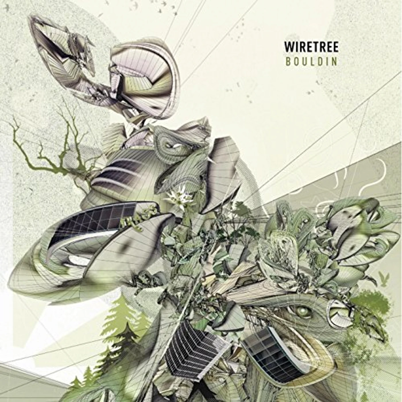 Wiretree Bouldin Vinyl Record