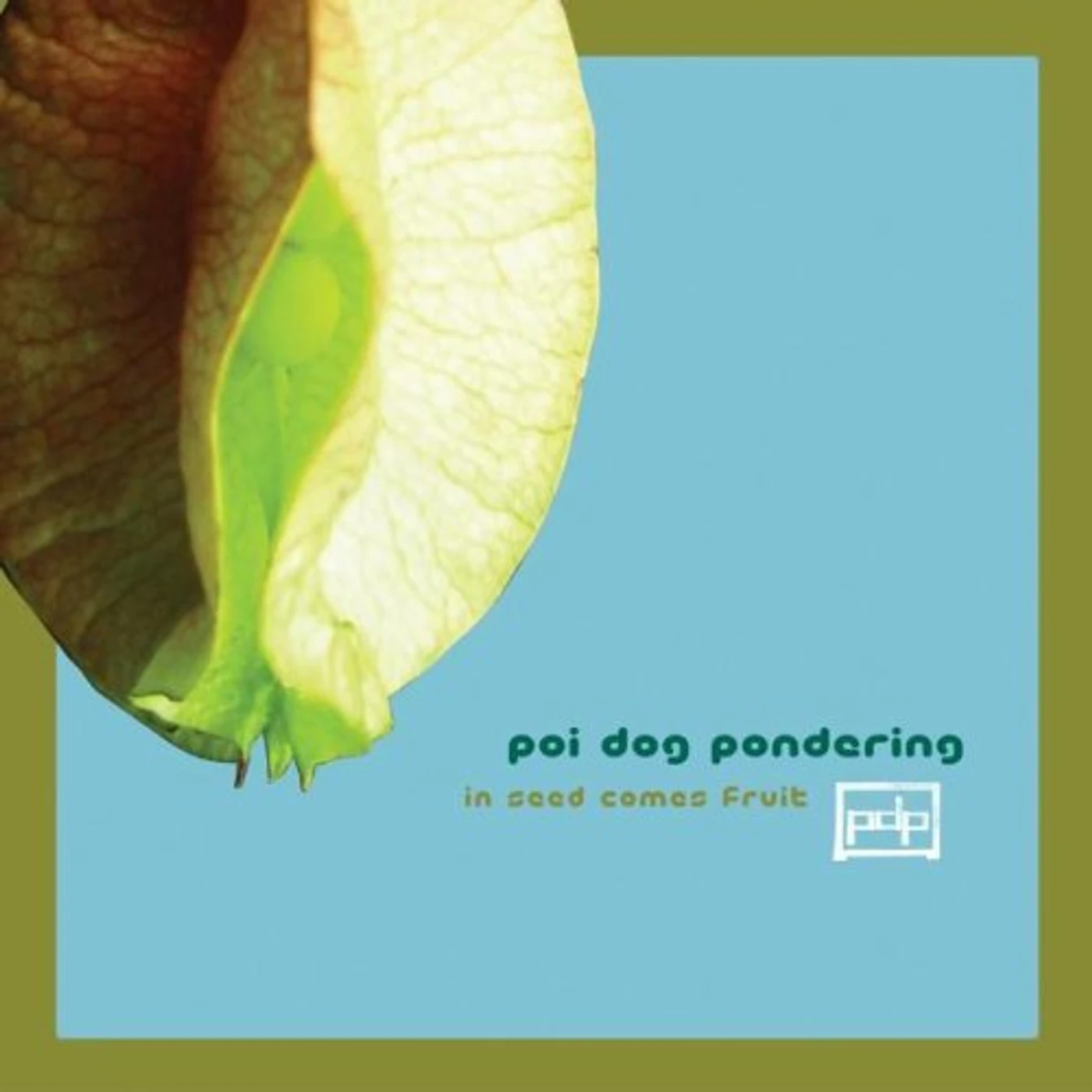 Poi Dog Pondering IN SEED COMES FRUIT CD