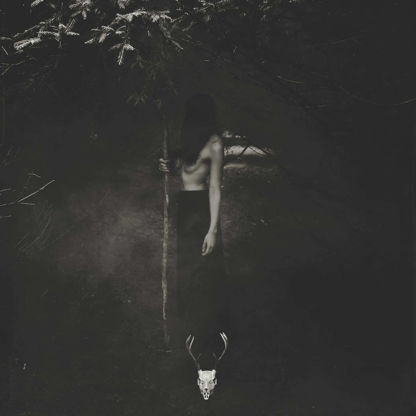 Of Feather And Bone EMBRACE THE WRETCHED FLESH CD