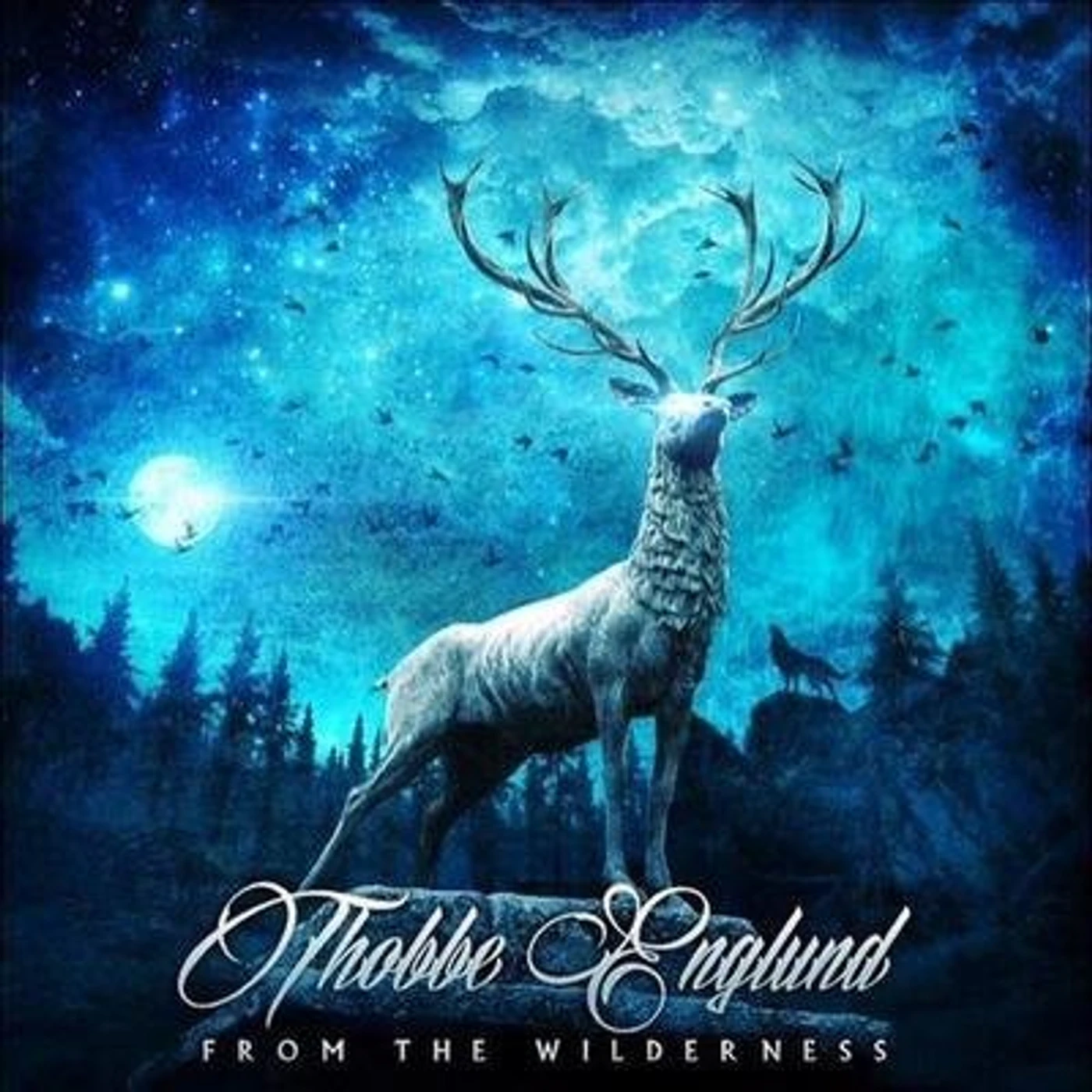 Thobbe Englund FROM THE WILDERNESS CD