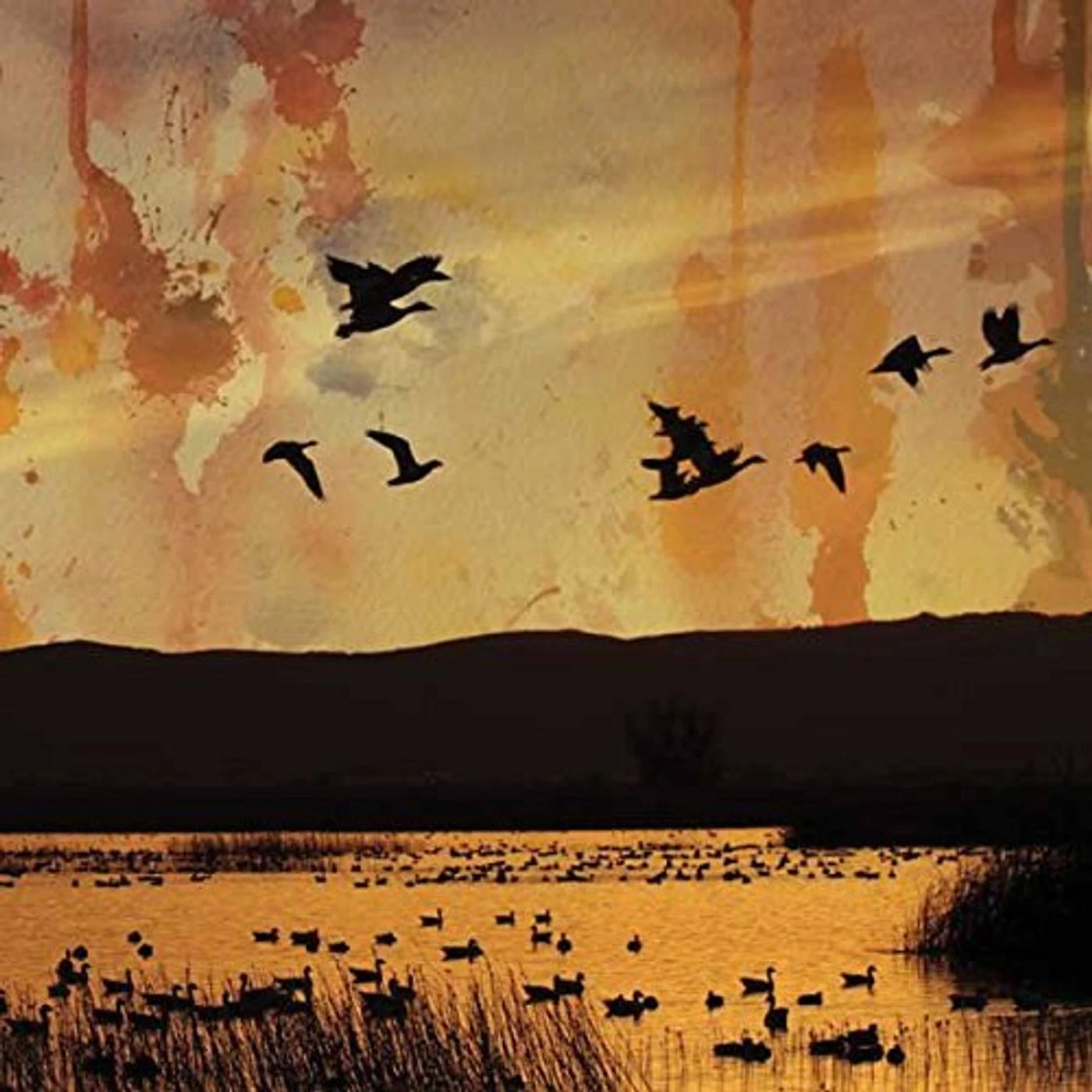 Stellar Descent FADING CD