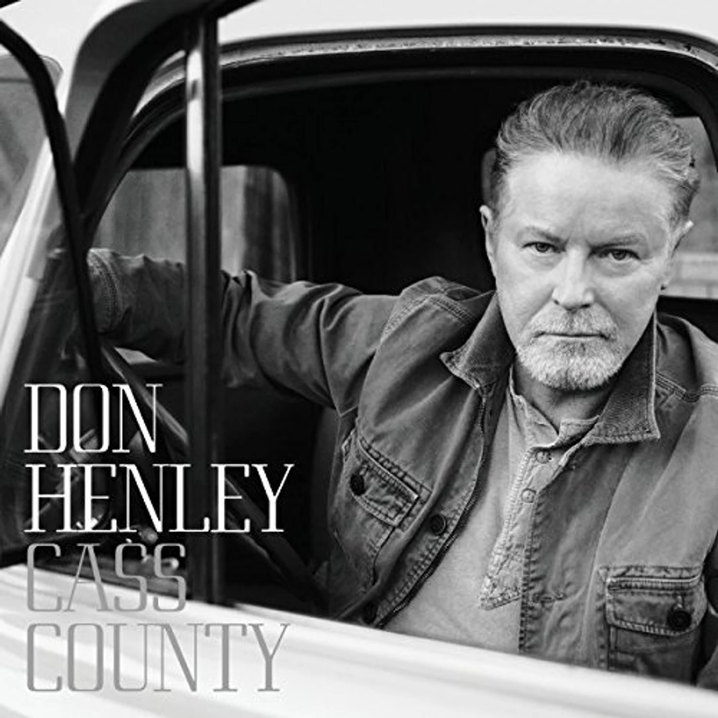 Don Henley Cass County Vinyl Record