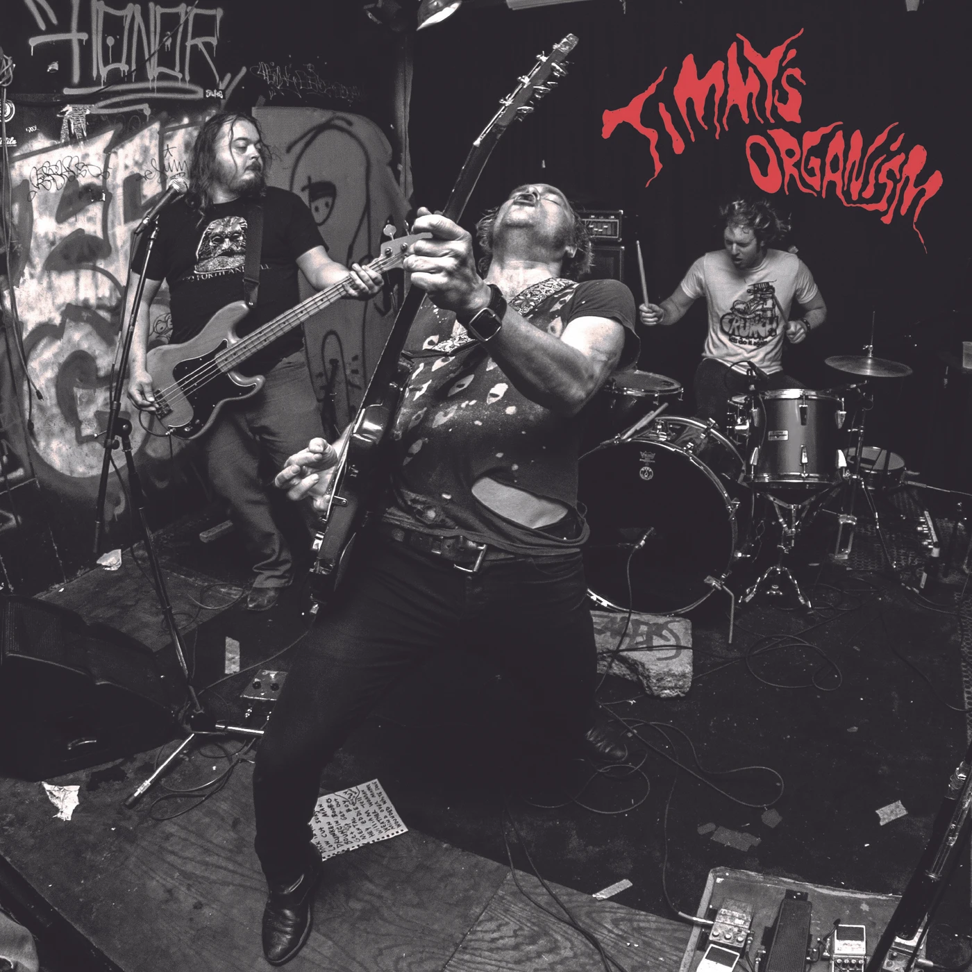 Timmy's Organism GET UP GET OUT Vinyl Record