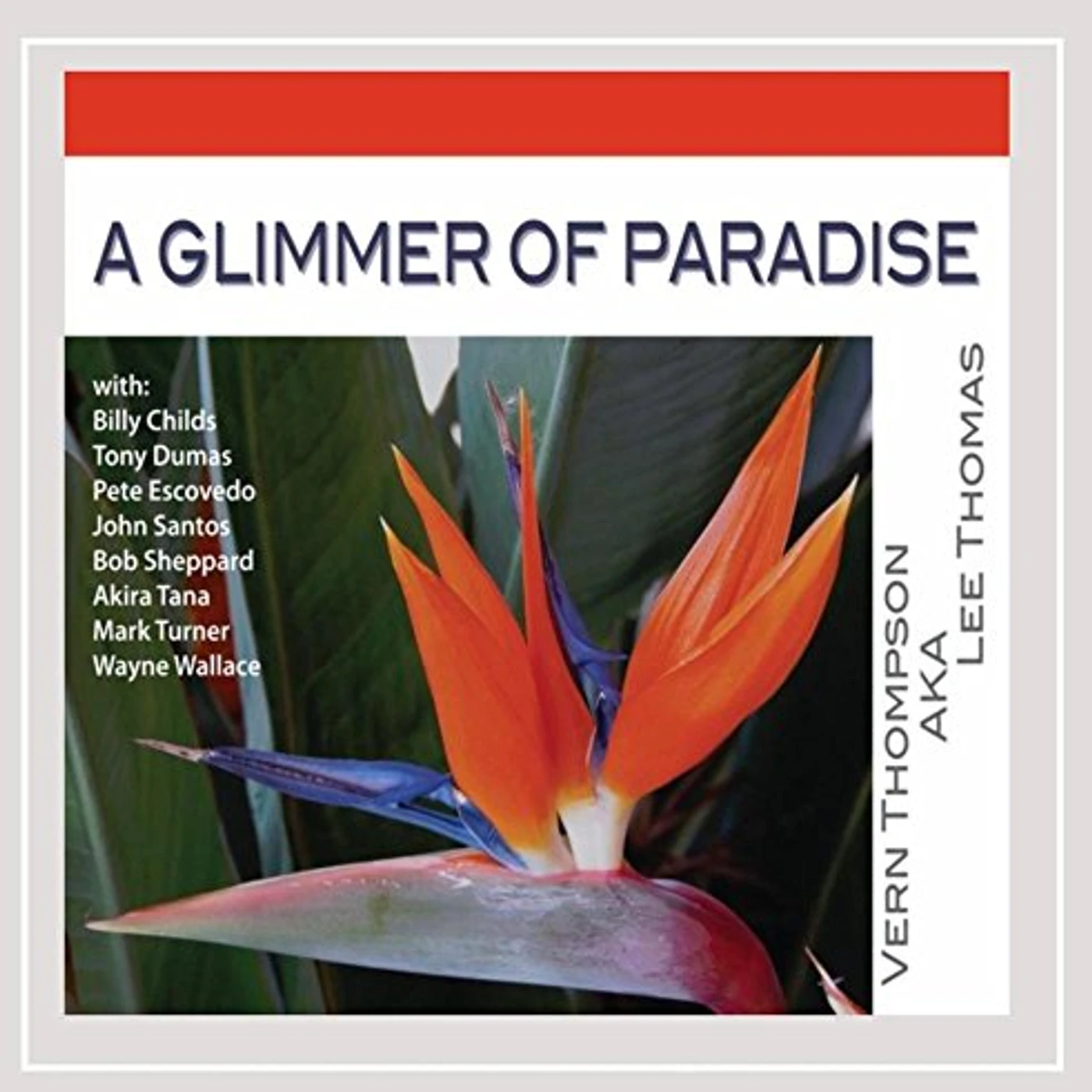 Vern Thompson GLIMMER OF PARADISE CD