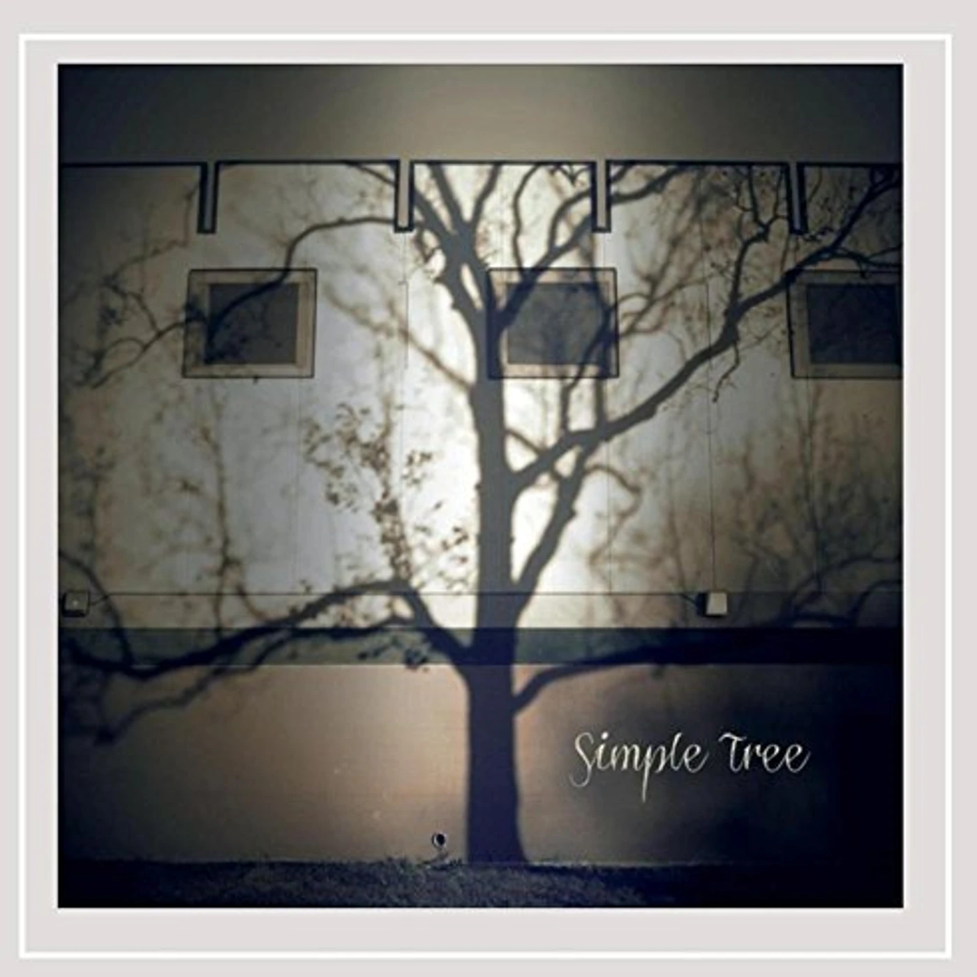 SIMPLE TREE CD