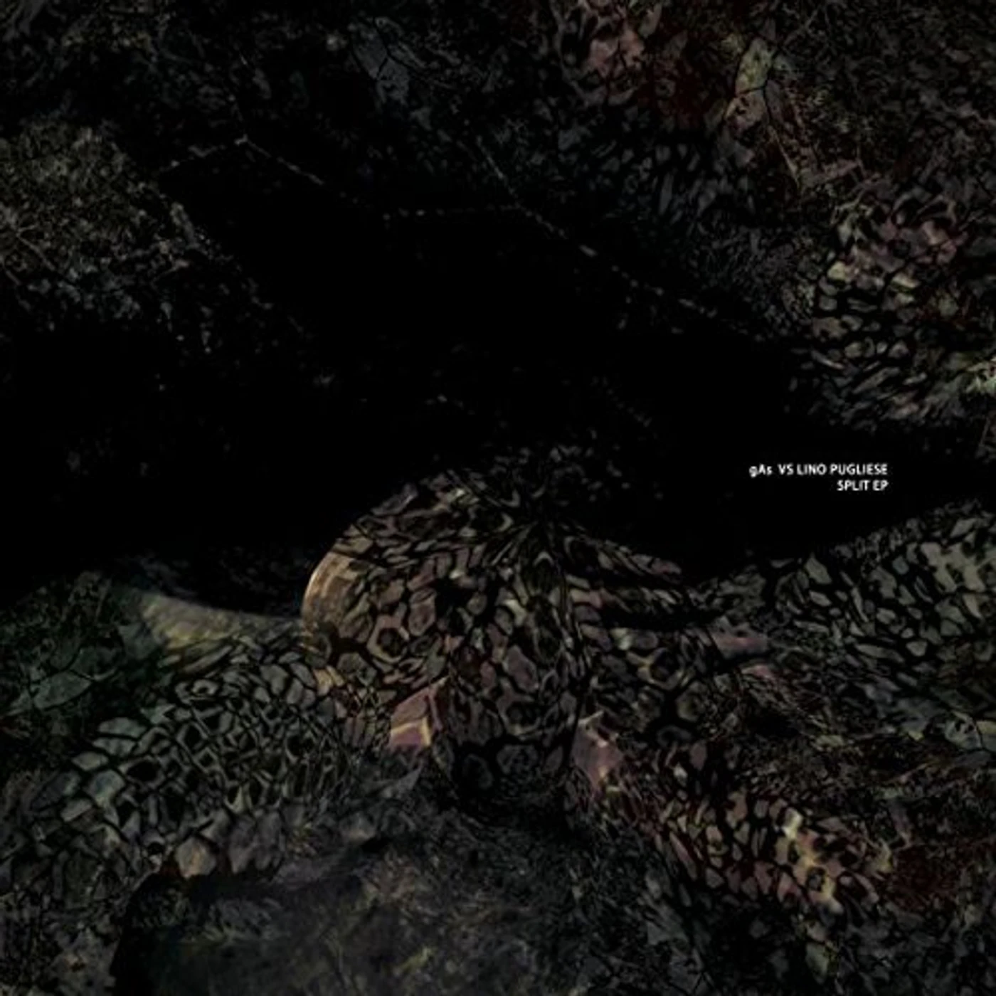 GAS Split EP Vinyl Record