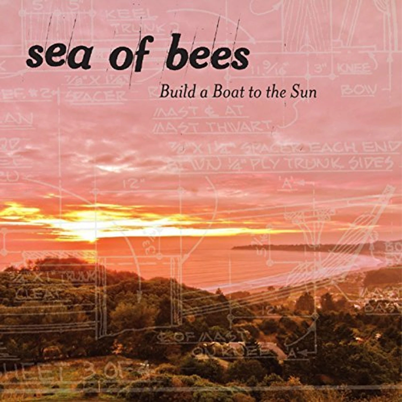 Sea Of Bees Build a Boat to the Sun Vinyl Record